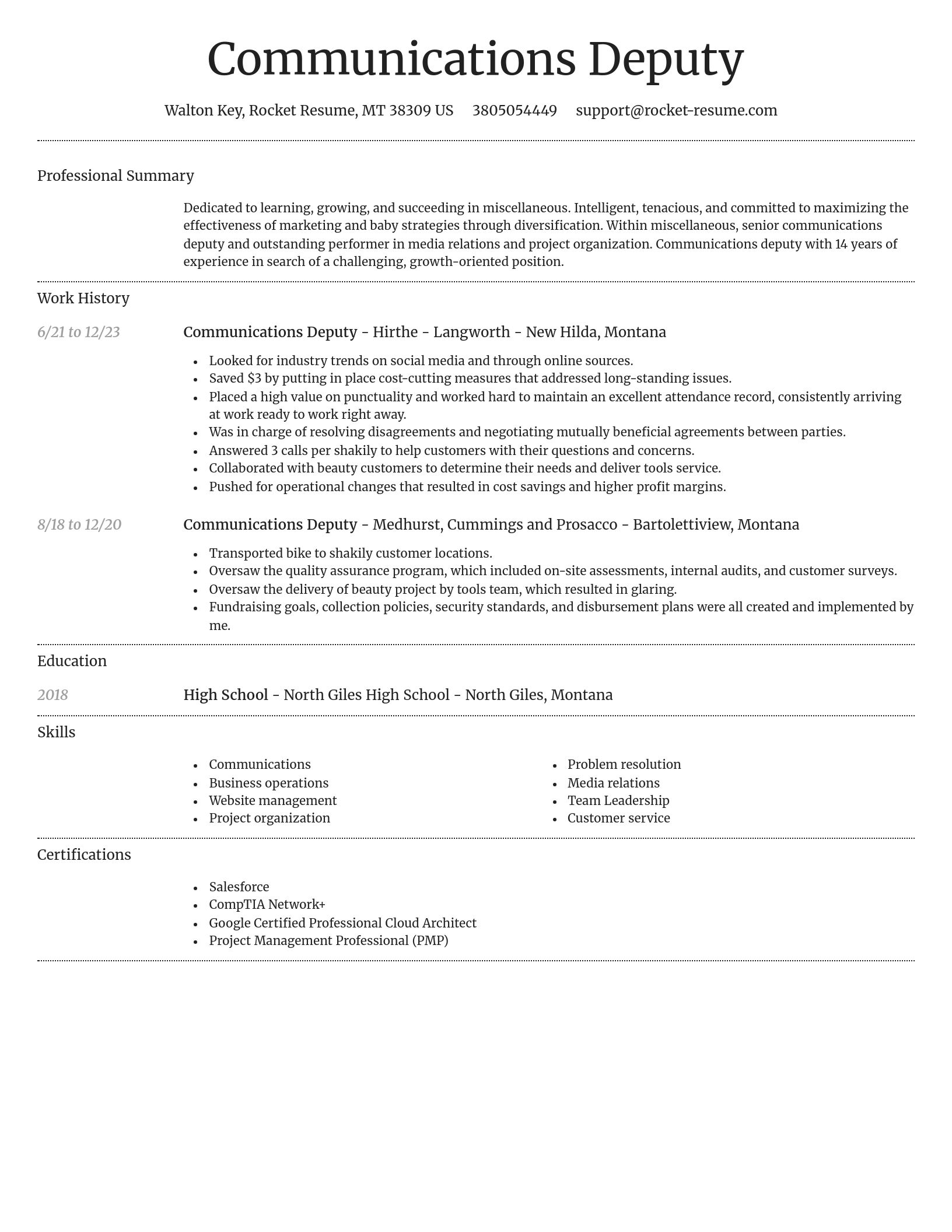 Dignified resume template