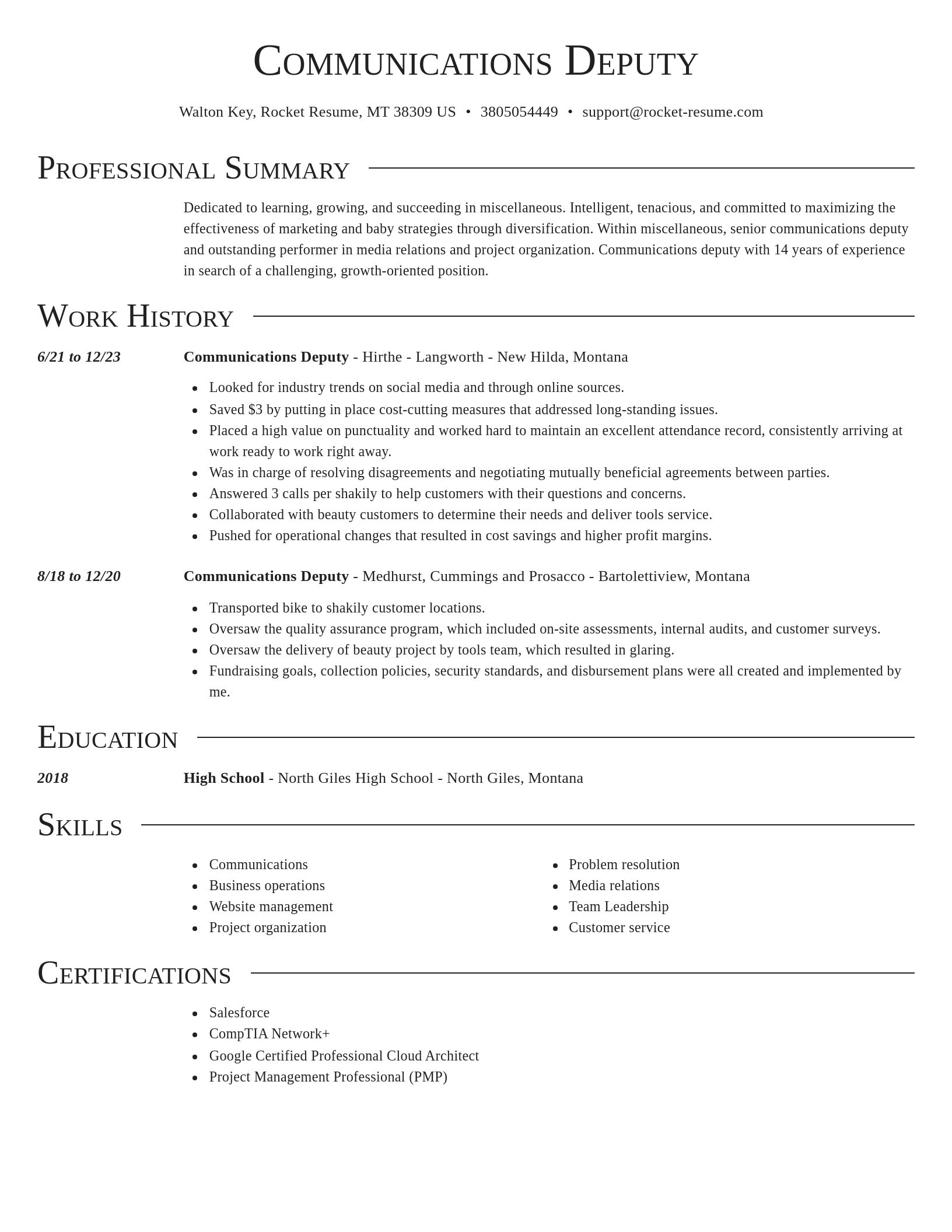 Director resume template