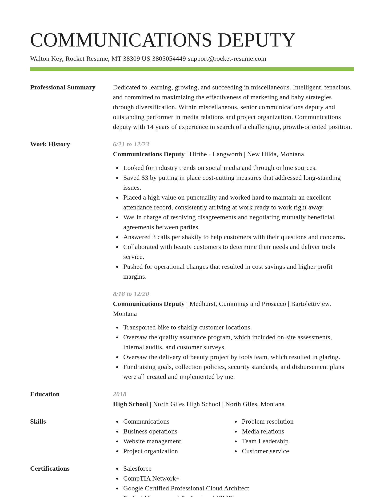 Smart resume template
