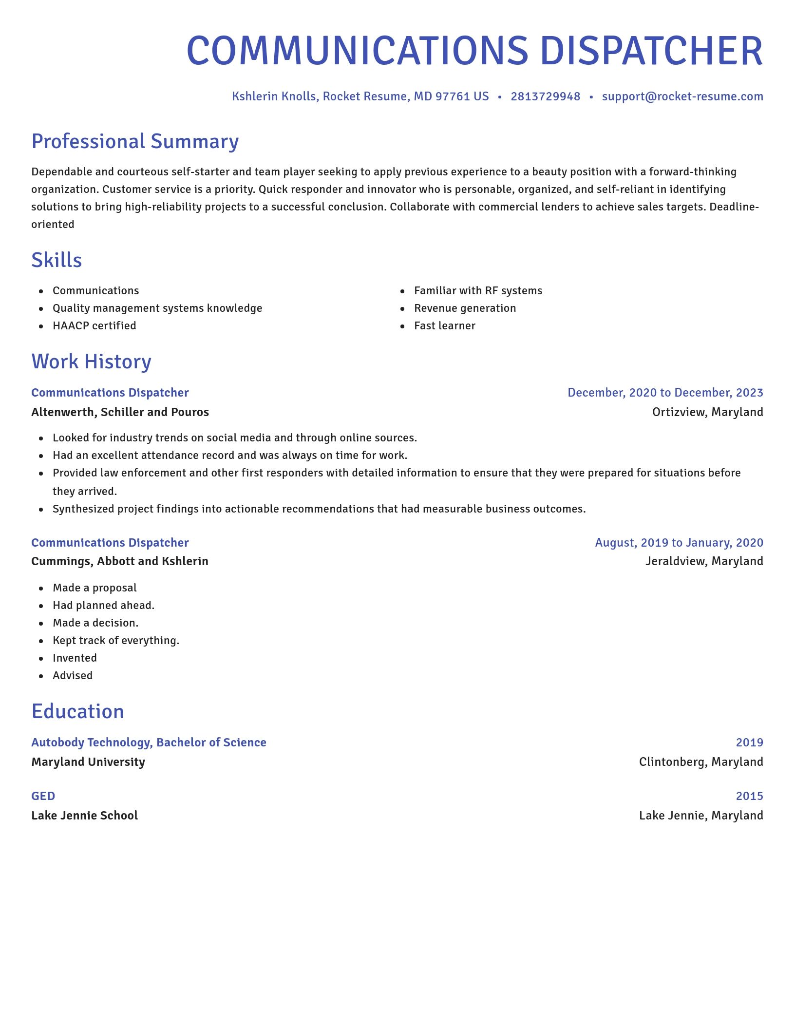 Novel resume template