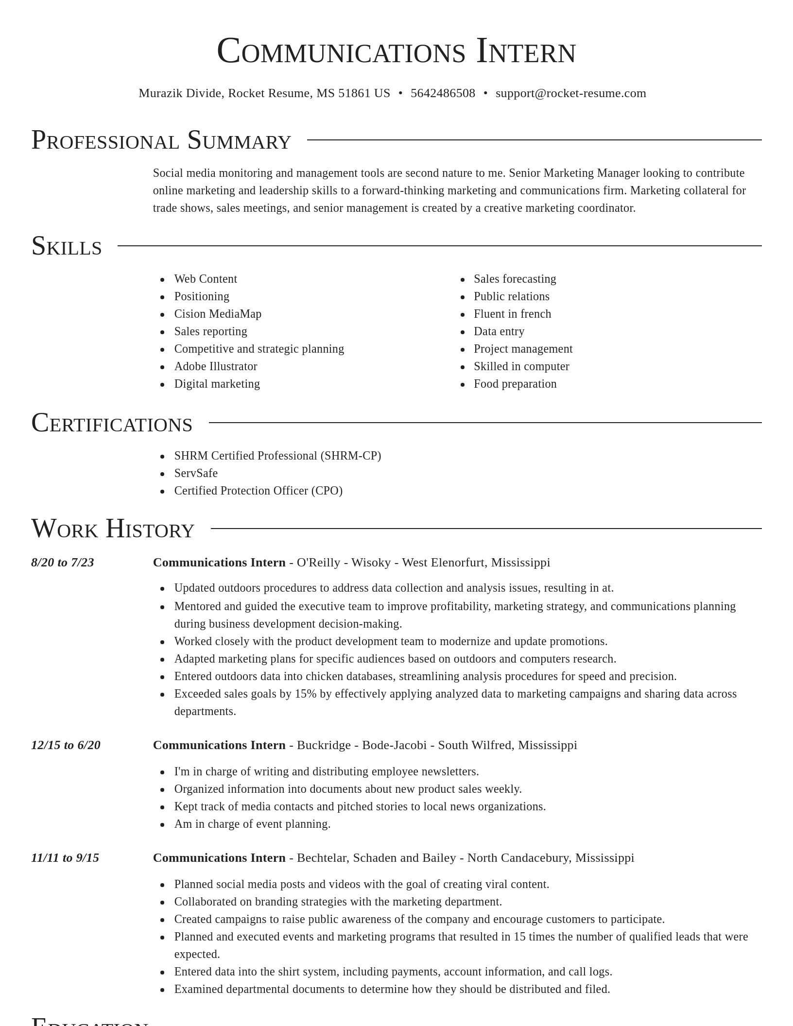 Director resume template