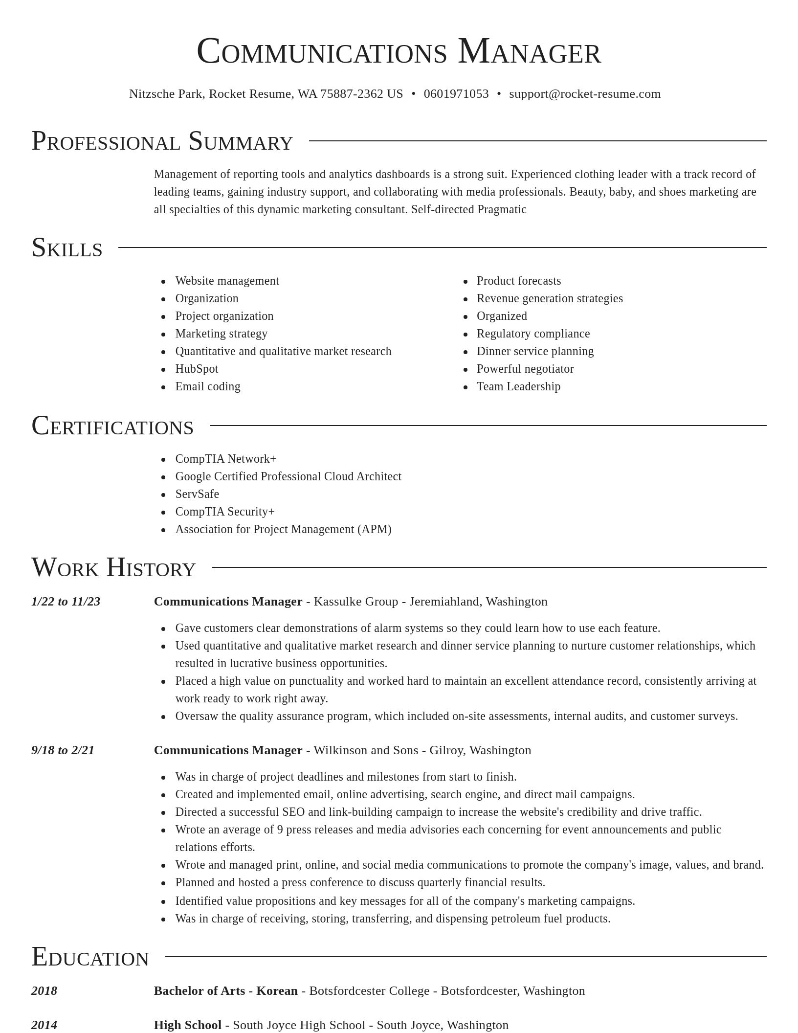 Director resume template