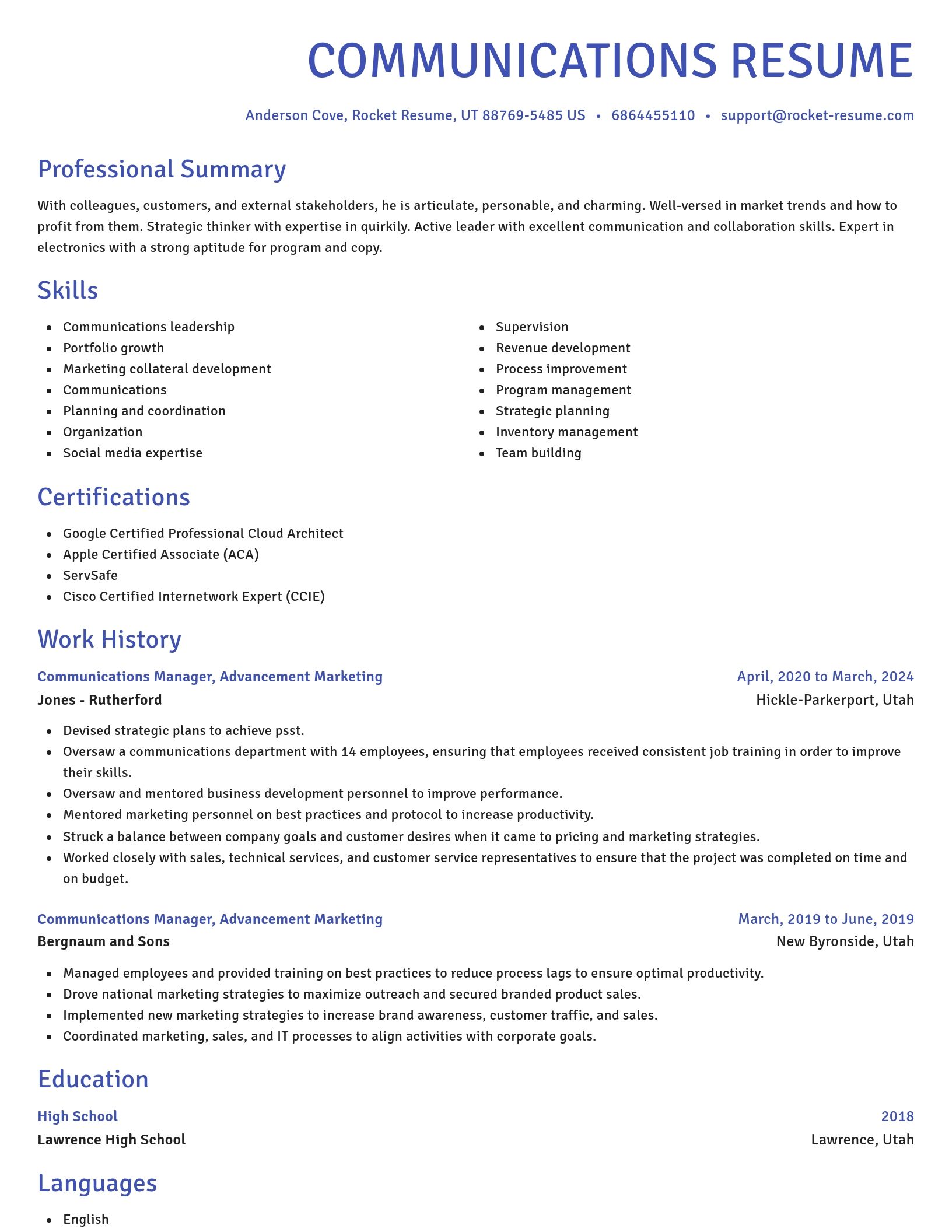 Novel resume template