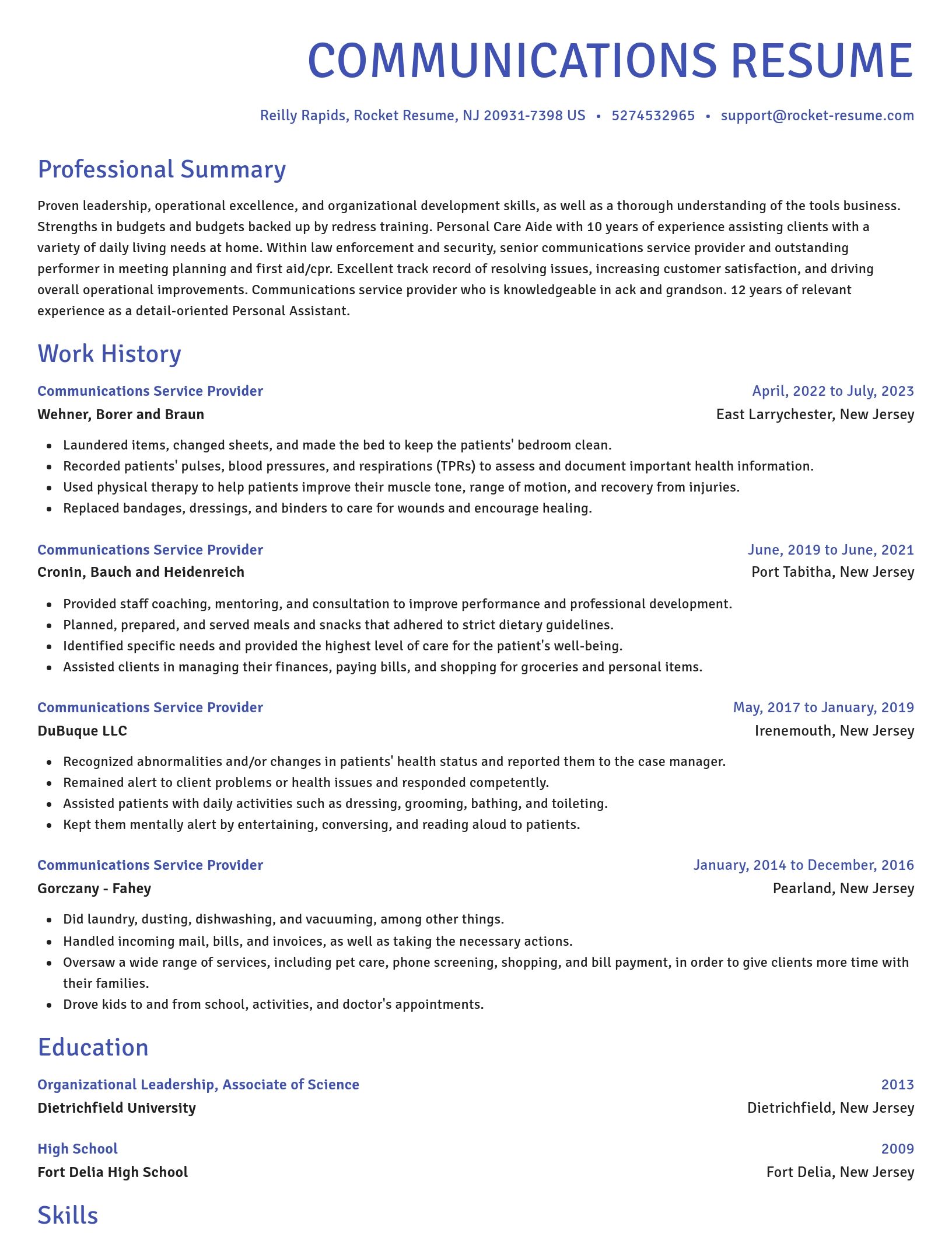 Novel resume template