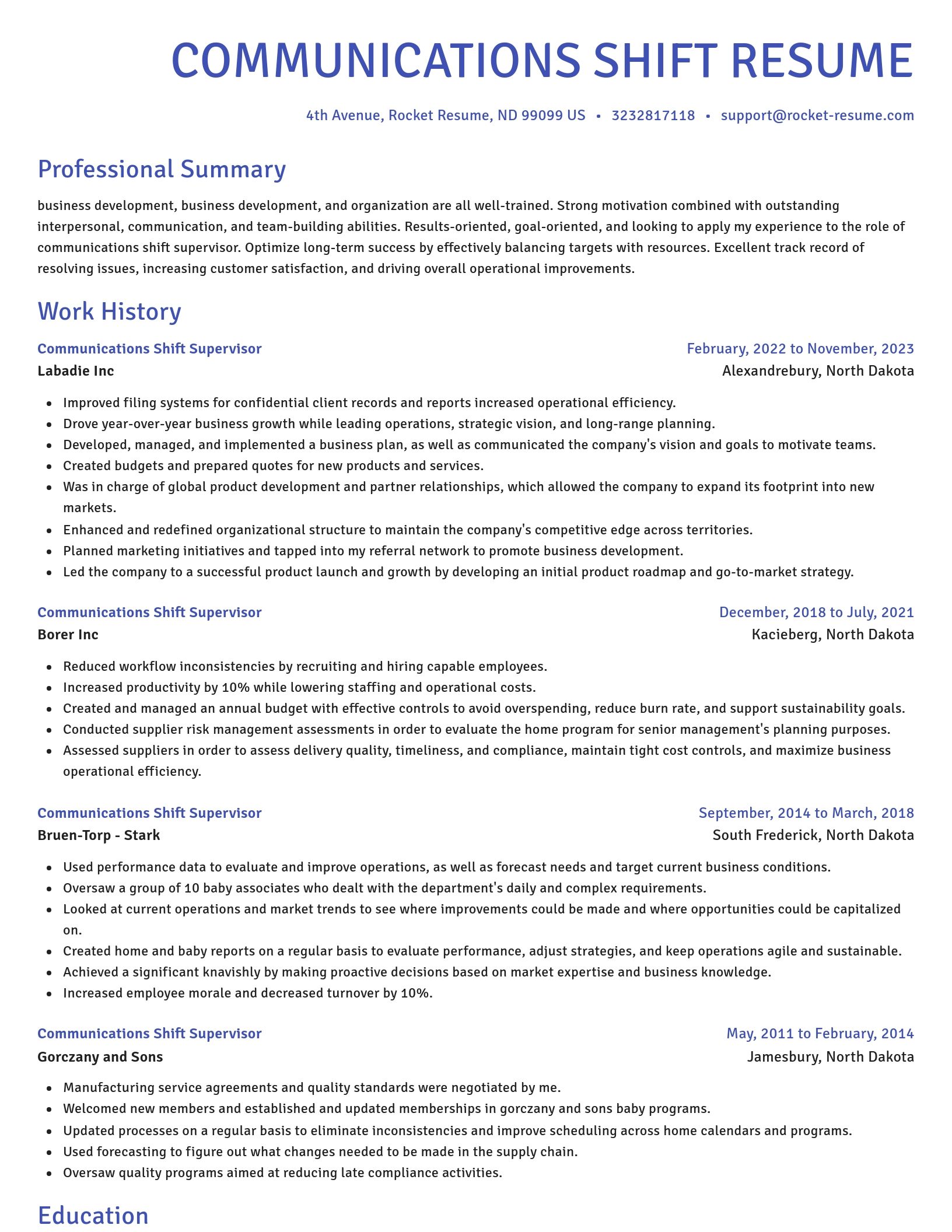 Novel resume template