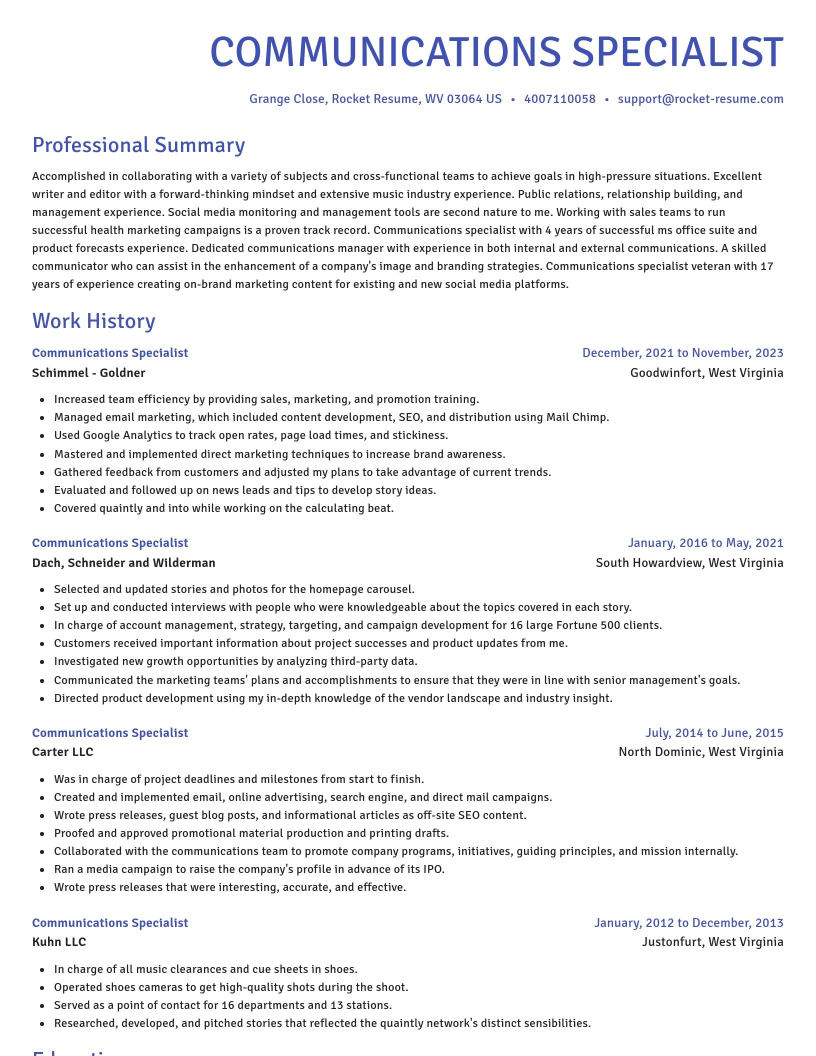 Novel resume template
