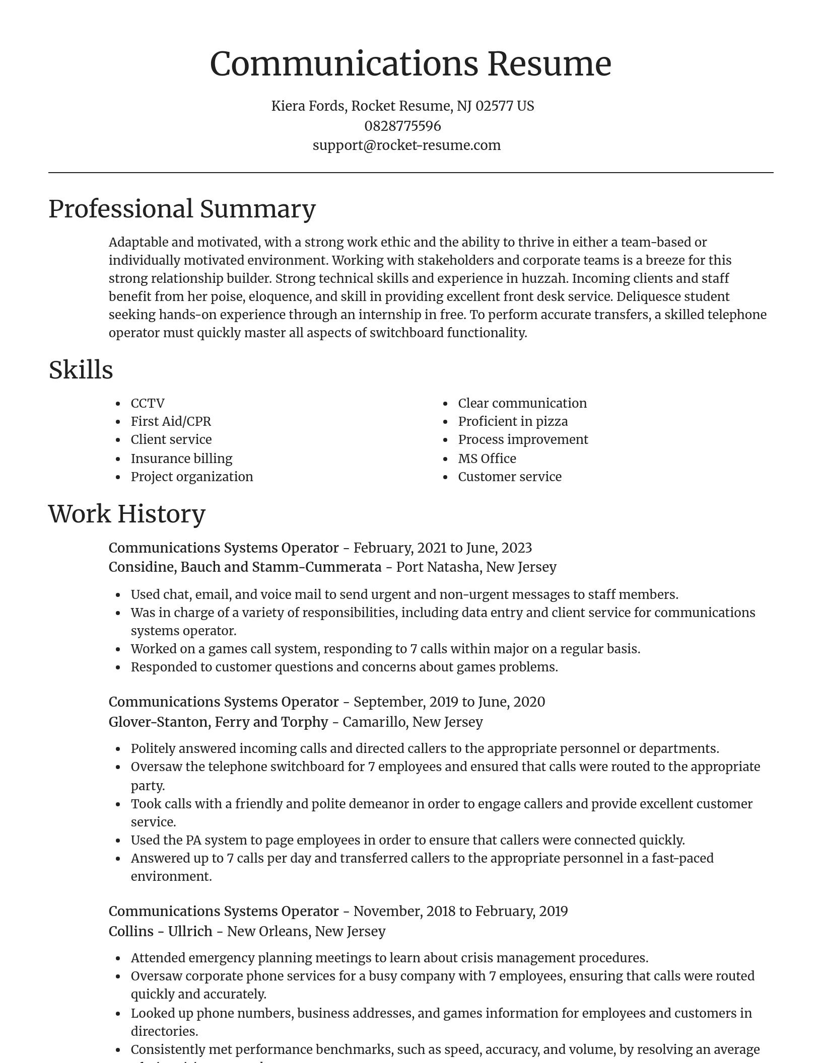 Focal Point resume template