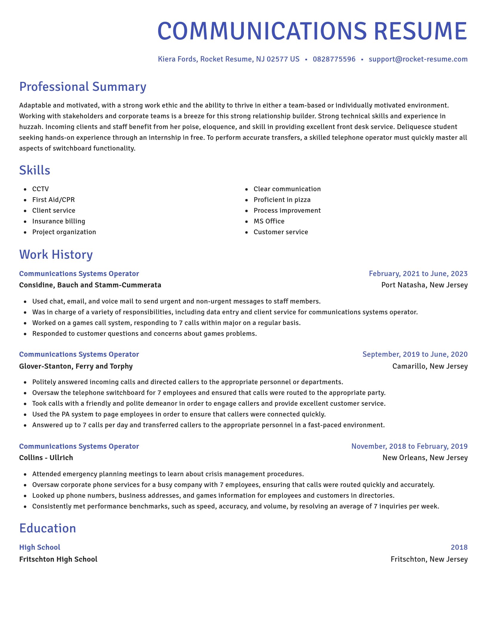 Novel resume template