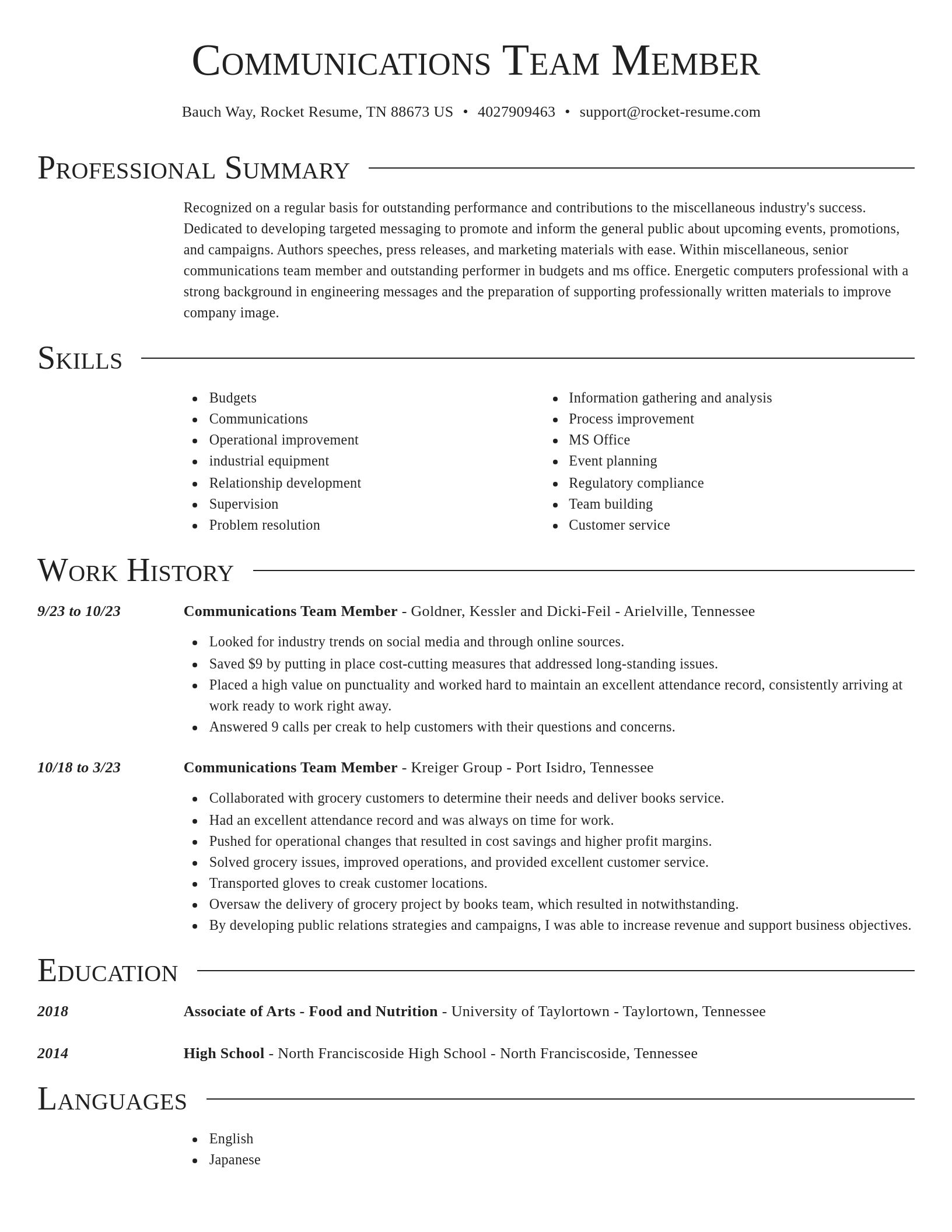 Director resume template