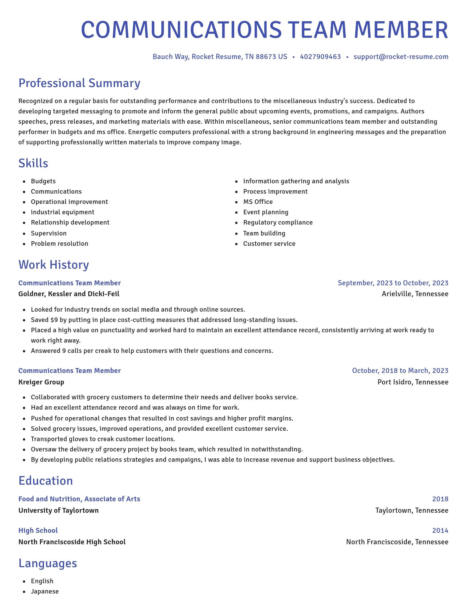 Novel resume template