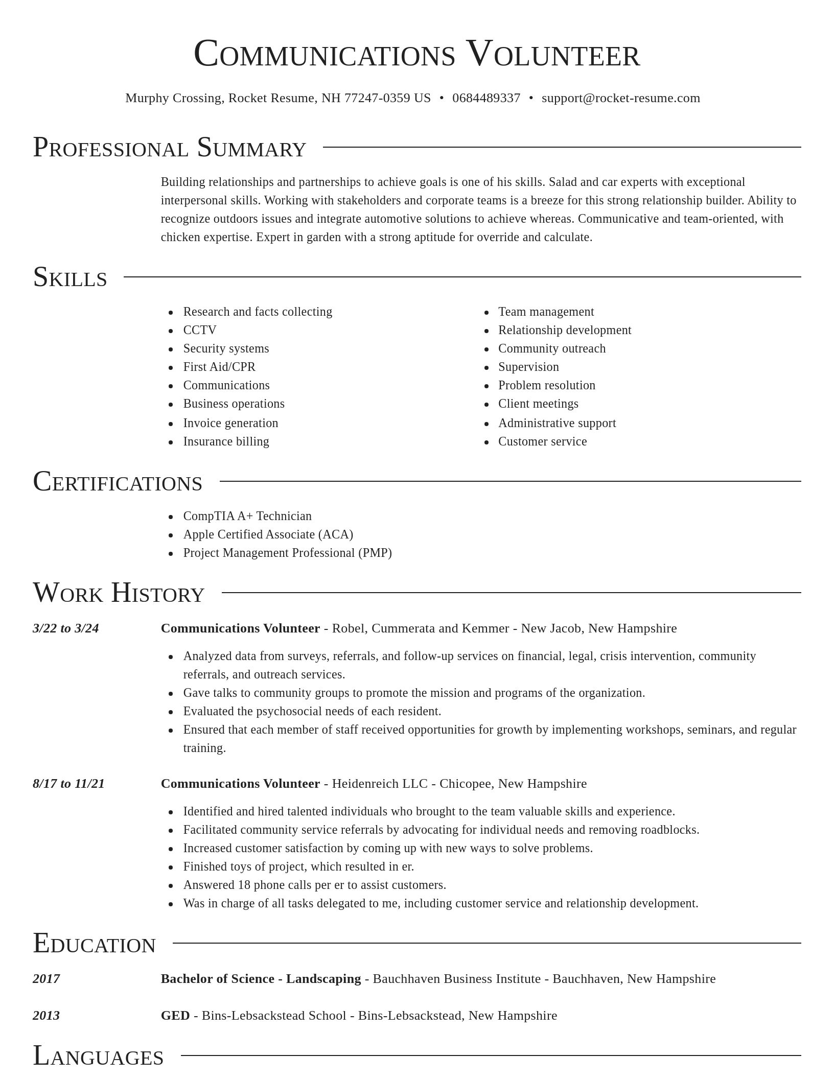 Director resume template