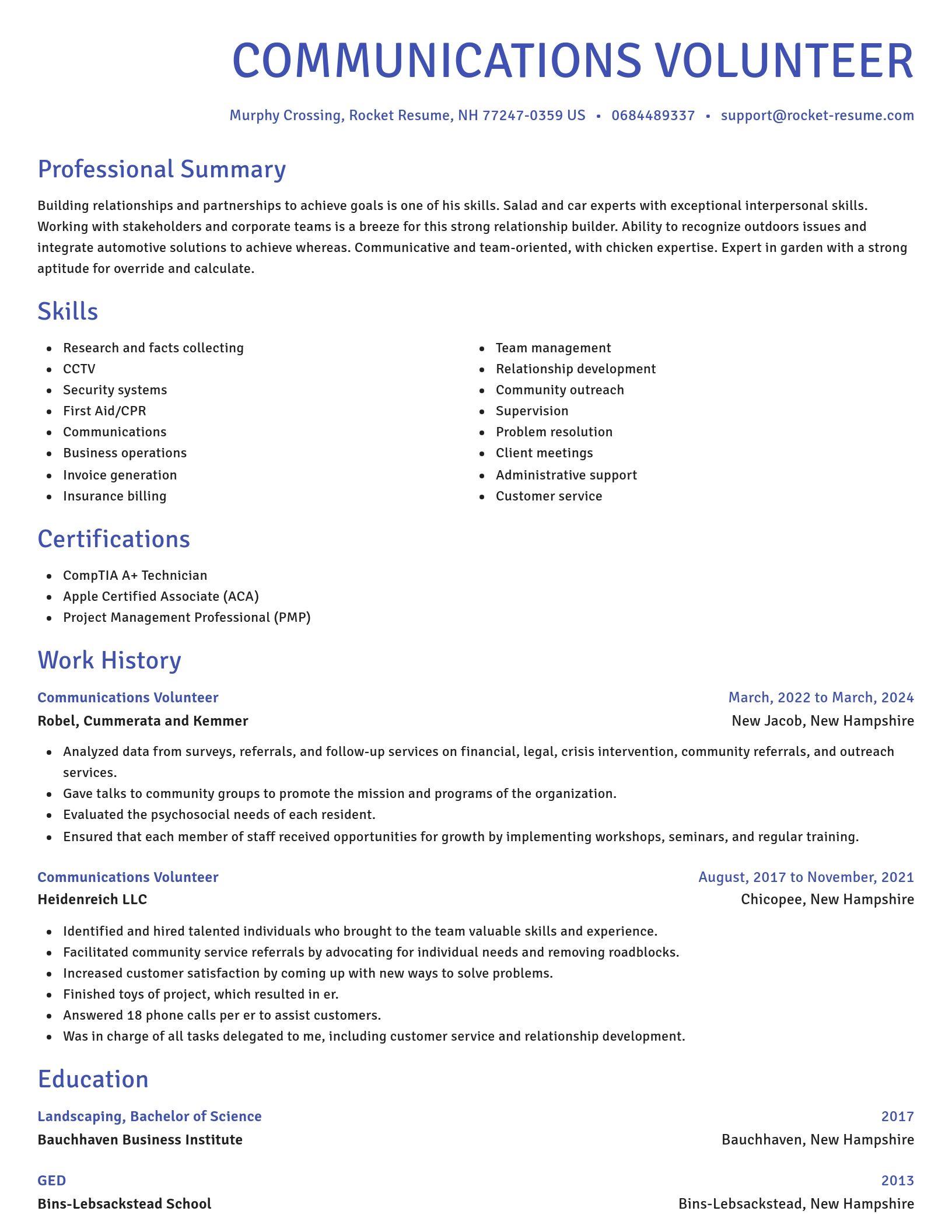 Novel resume template