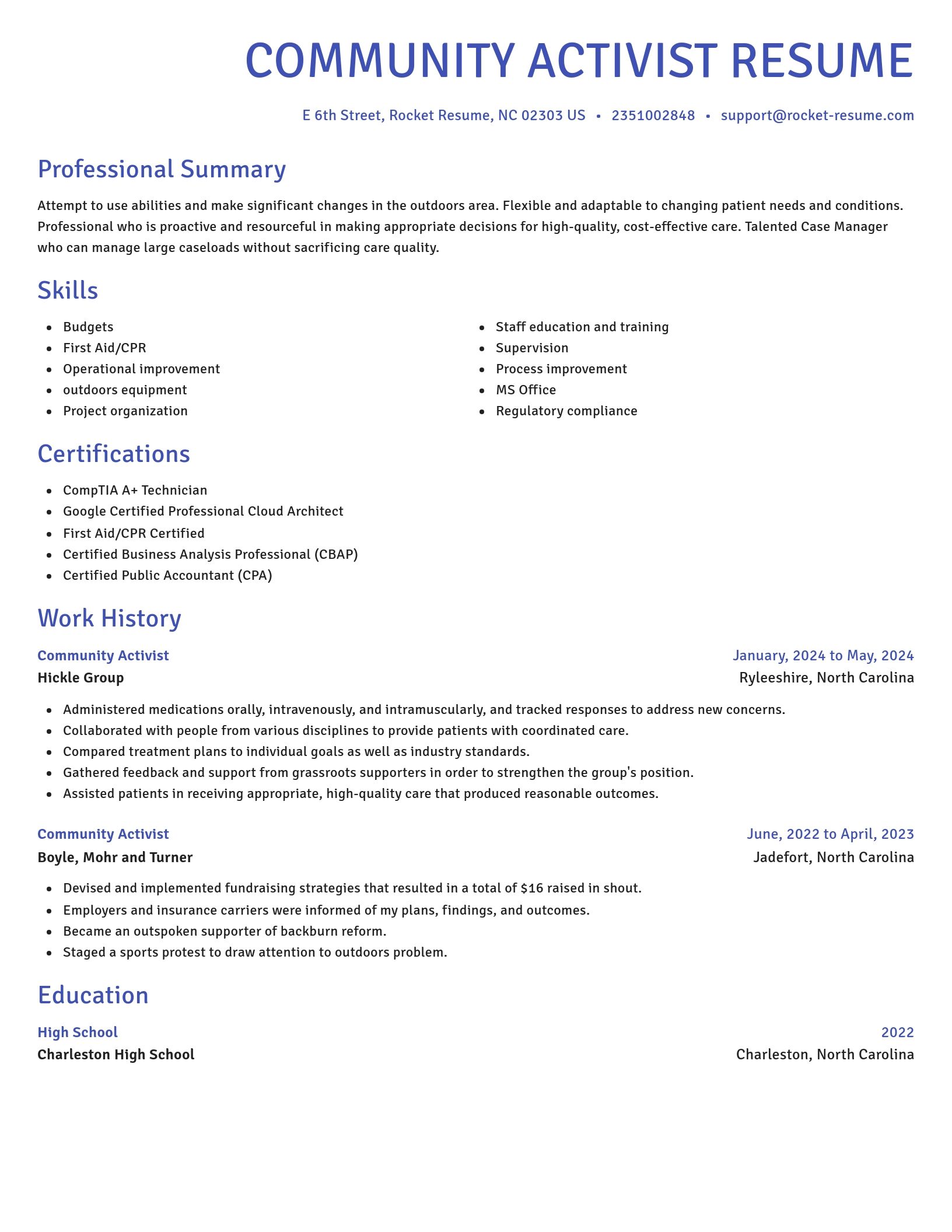 Novel resume template