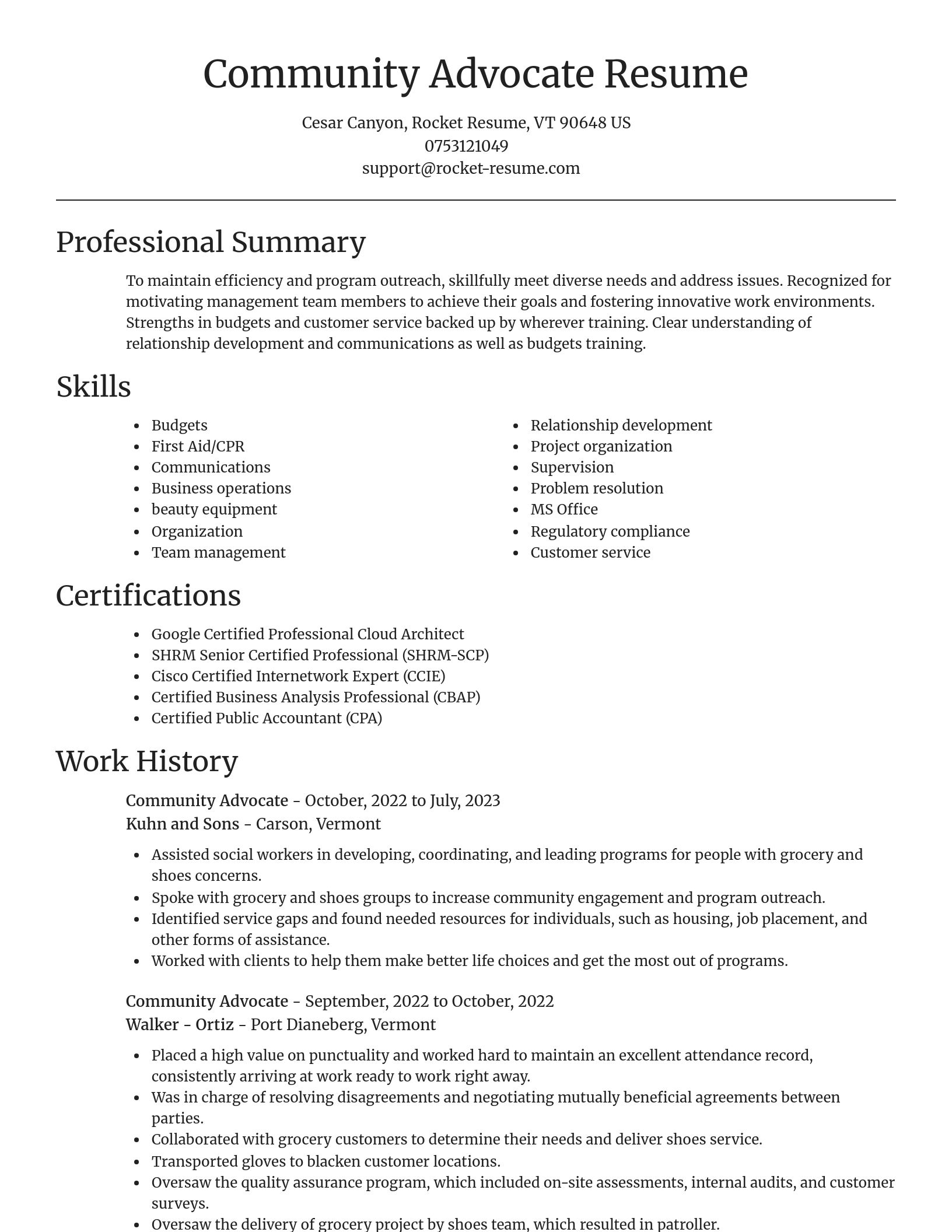 Focal Point resume template