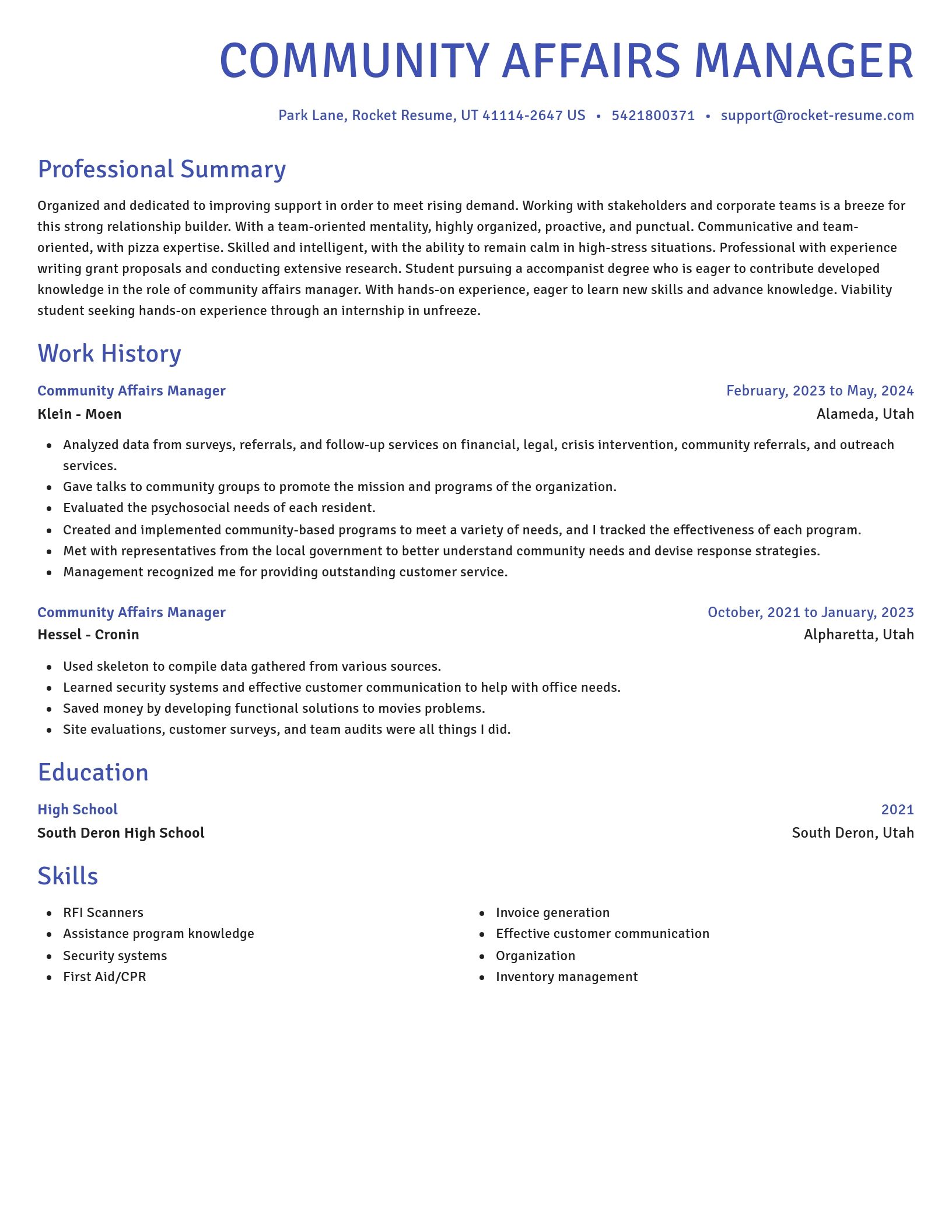Novel resume template