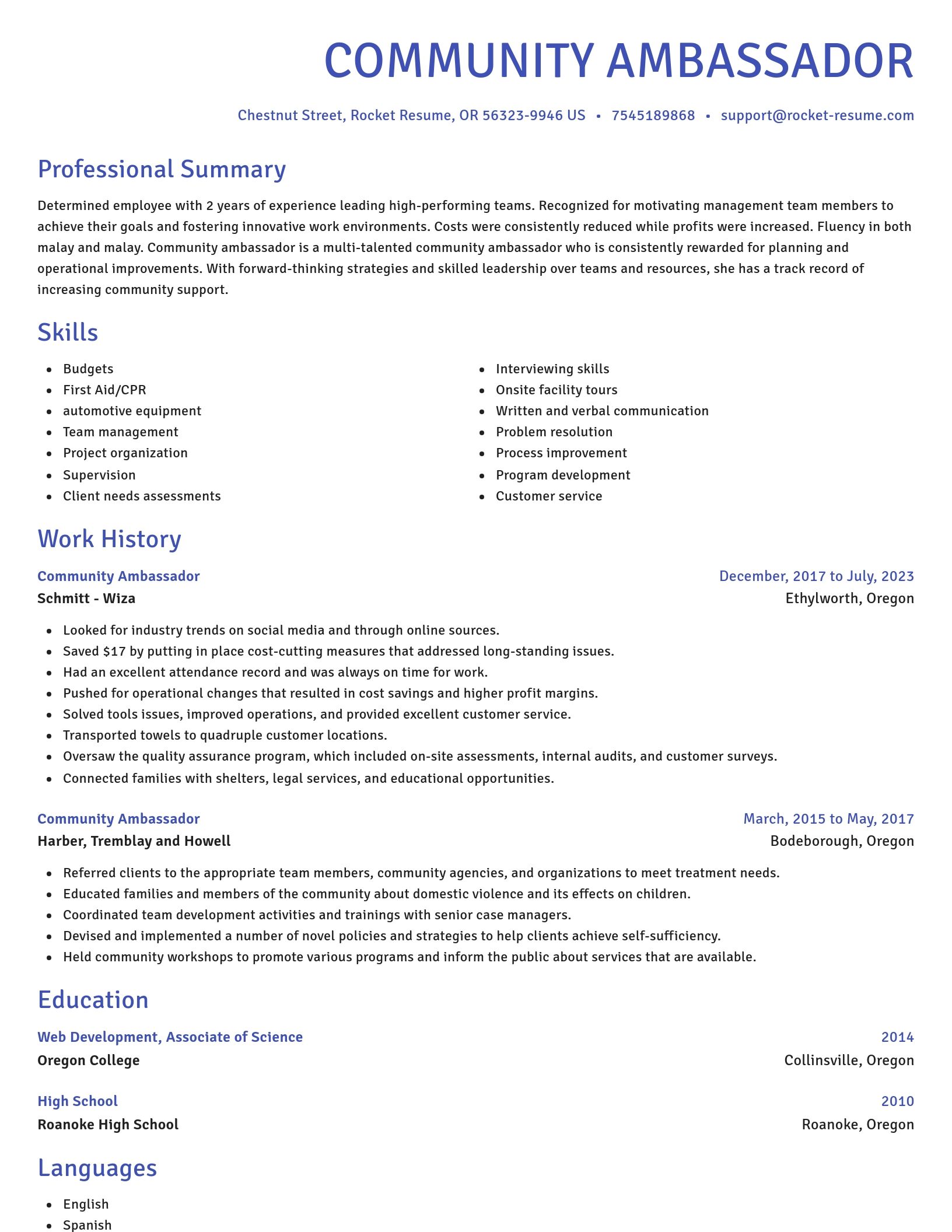 Novel resume template