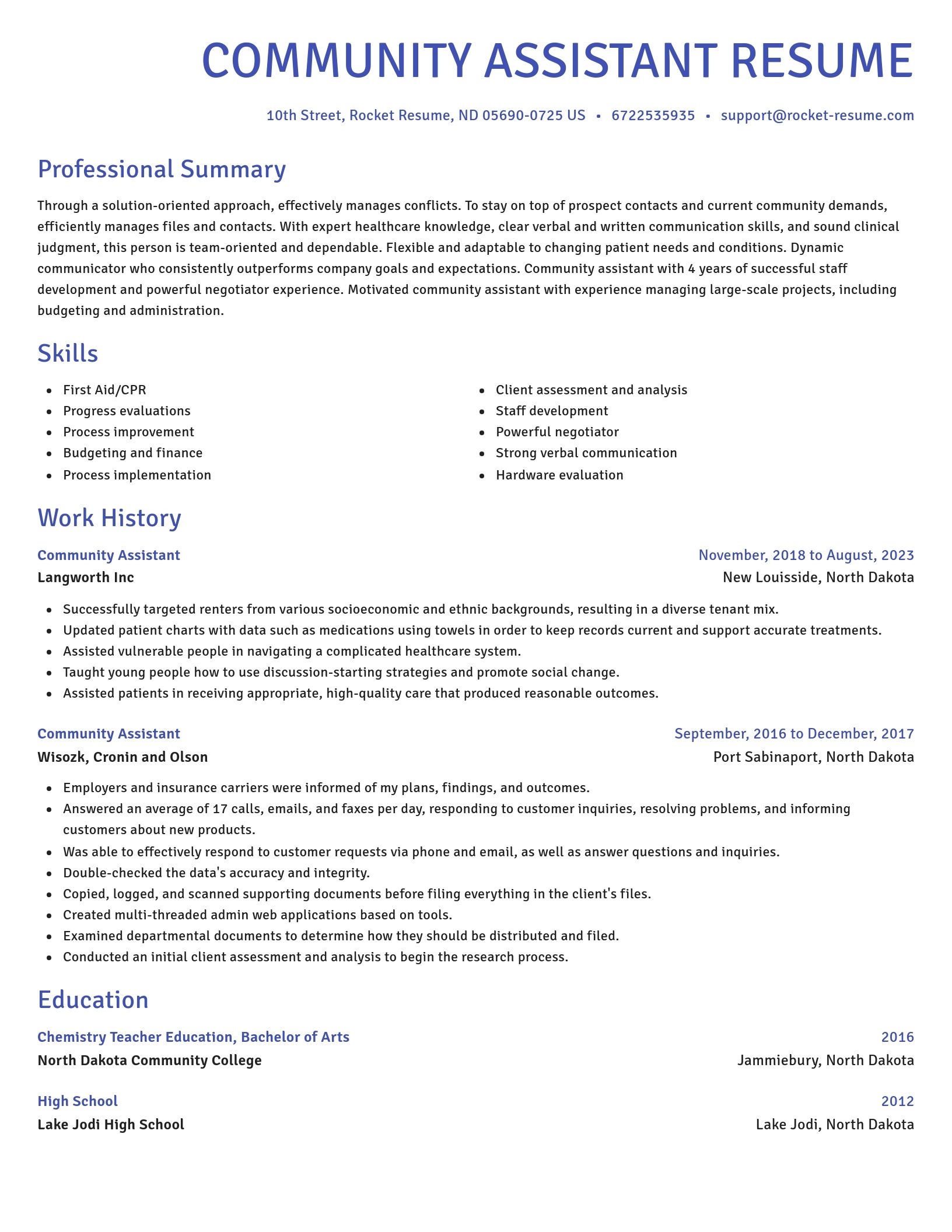 Novel resume template