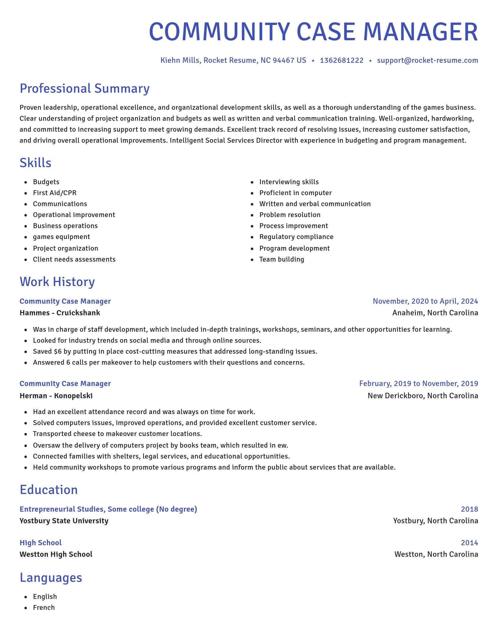 Novel resume template