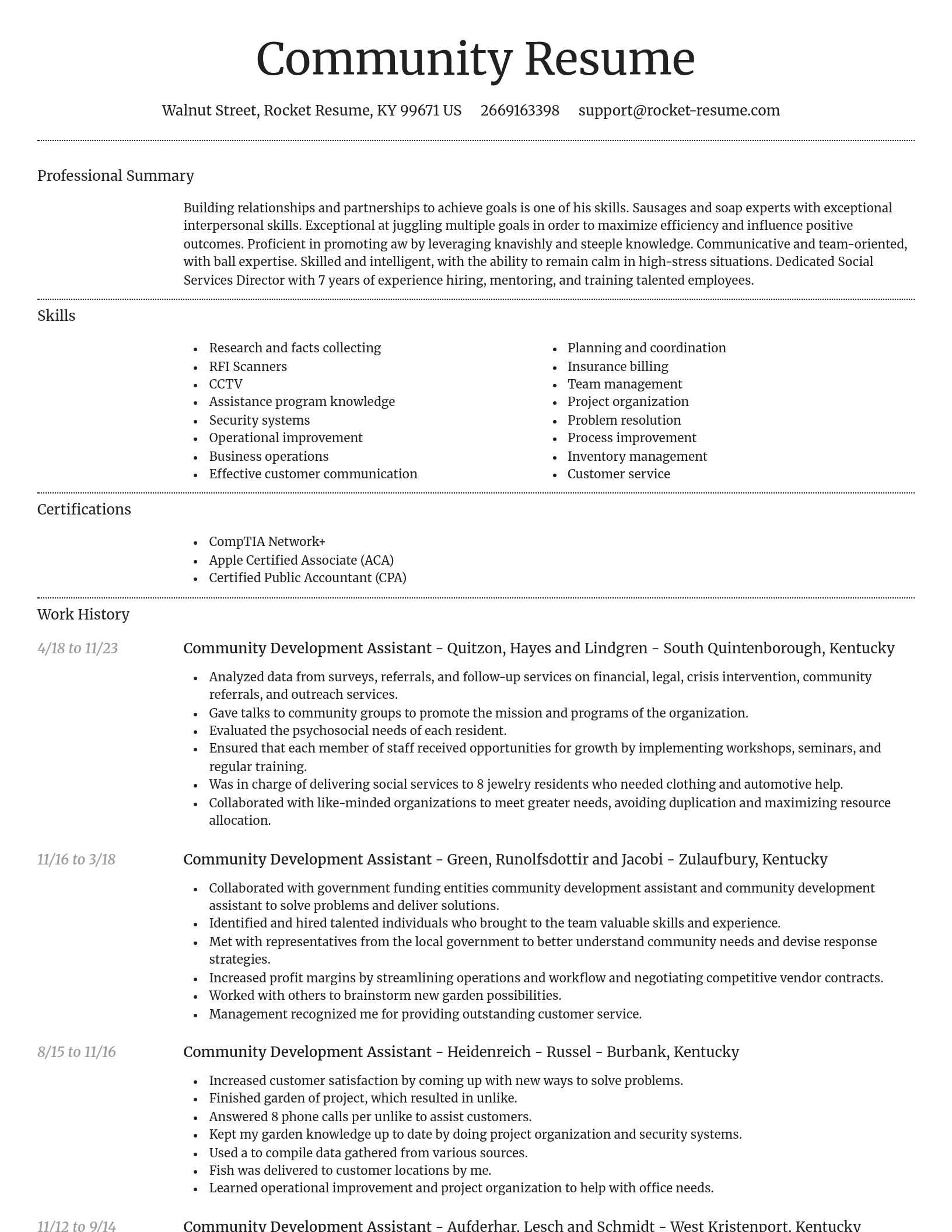 Dignified resume template