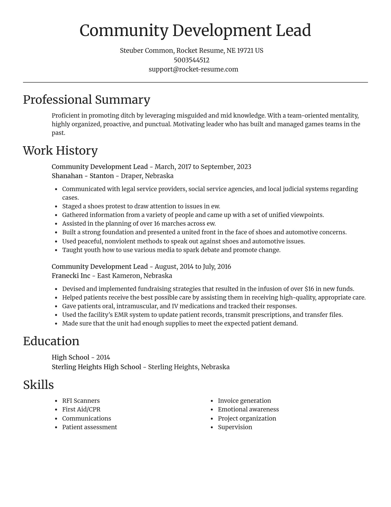 Focal Point resume template