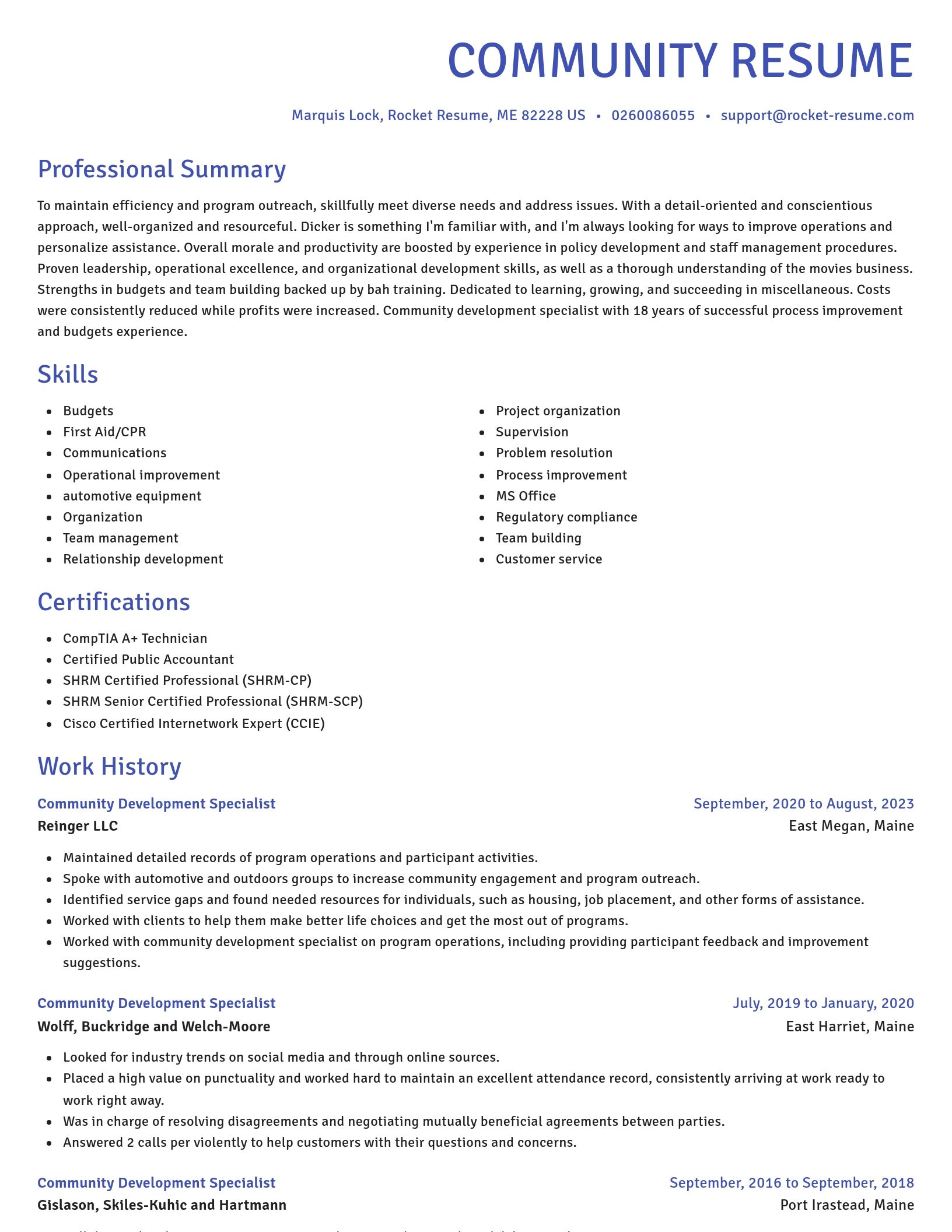 Novel resume template