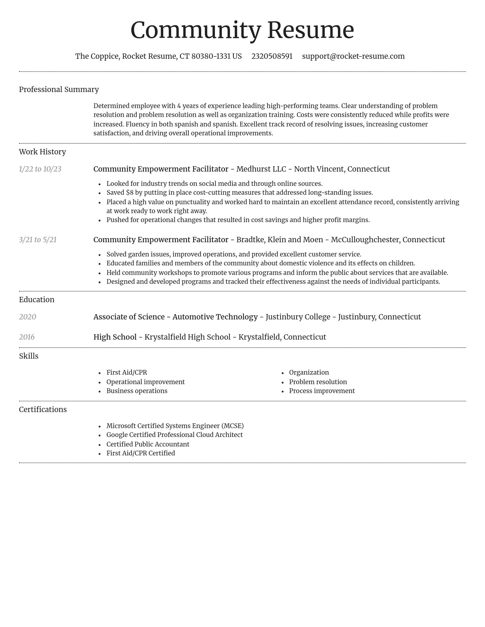 Dignified resume template