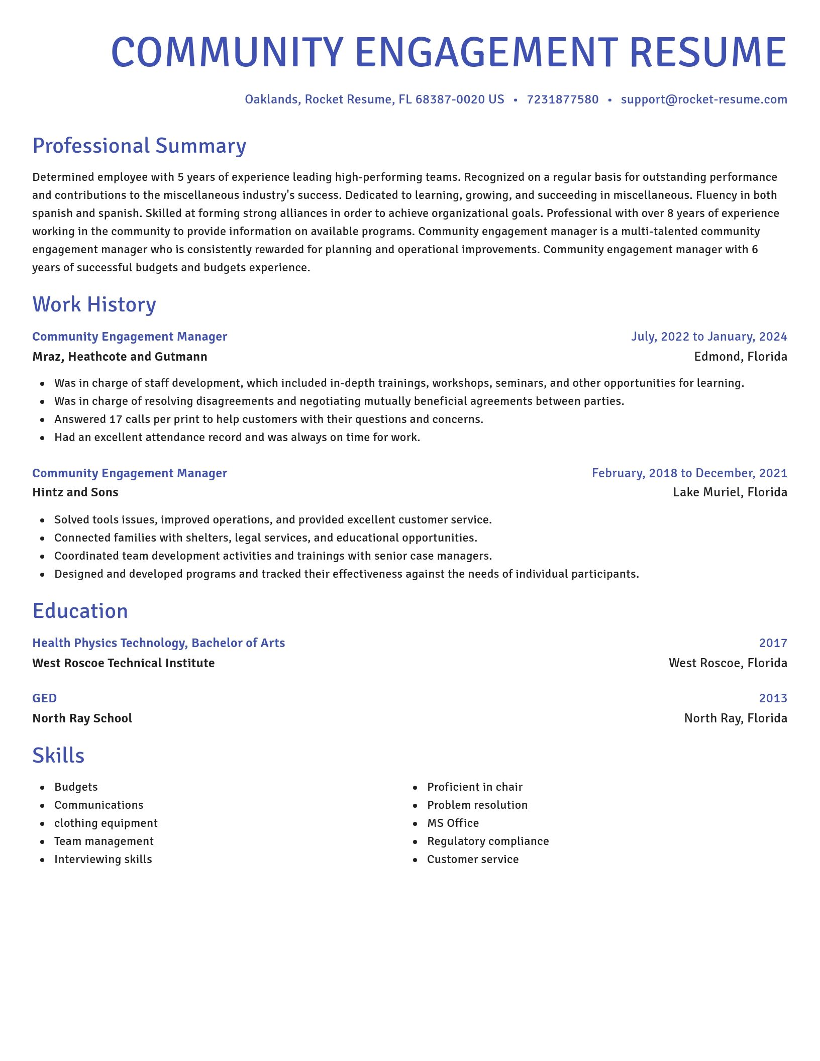 Novel resume template