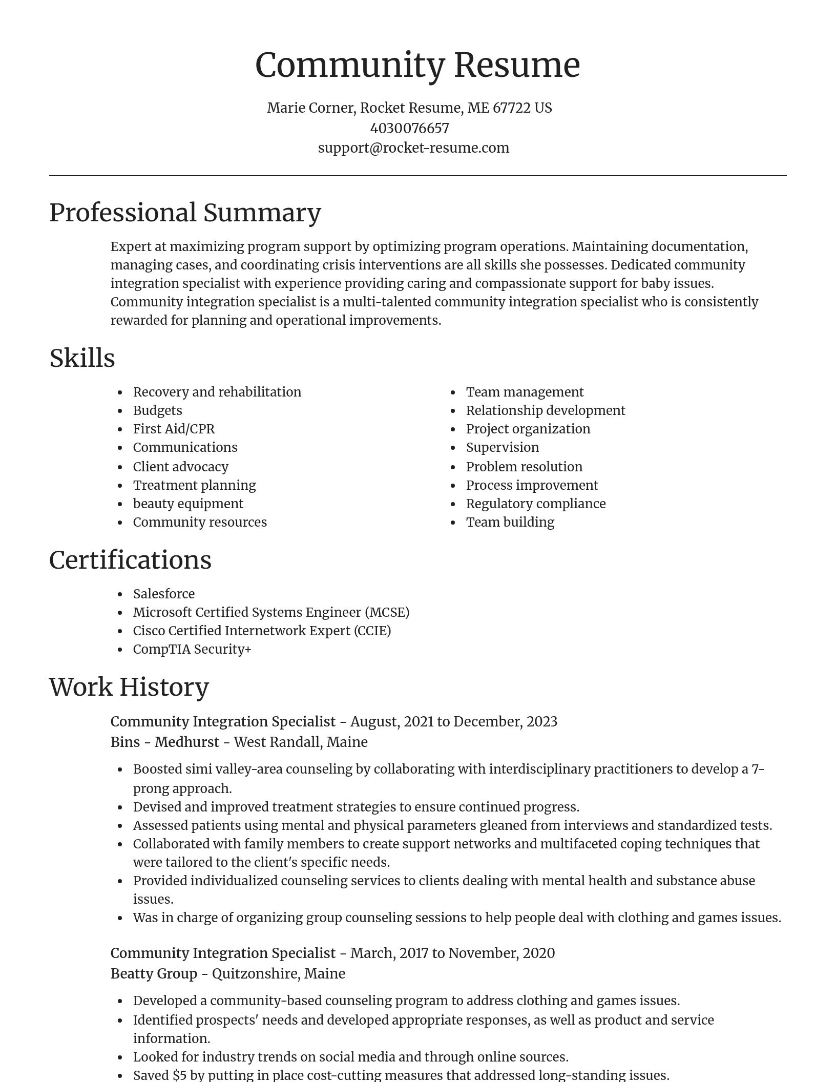Focal Point resume template