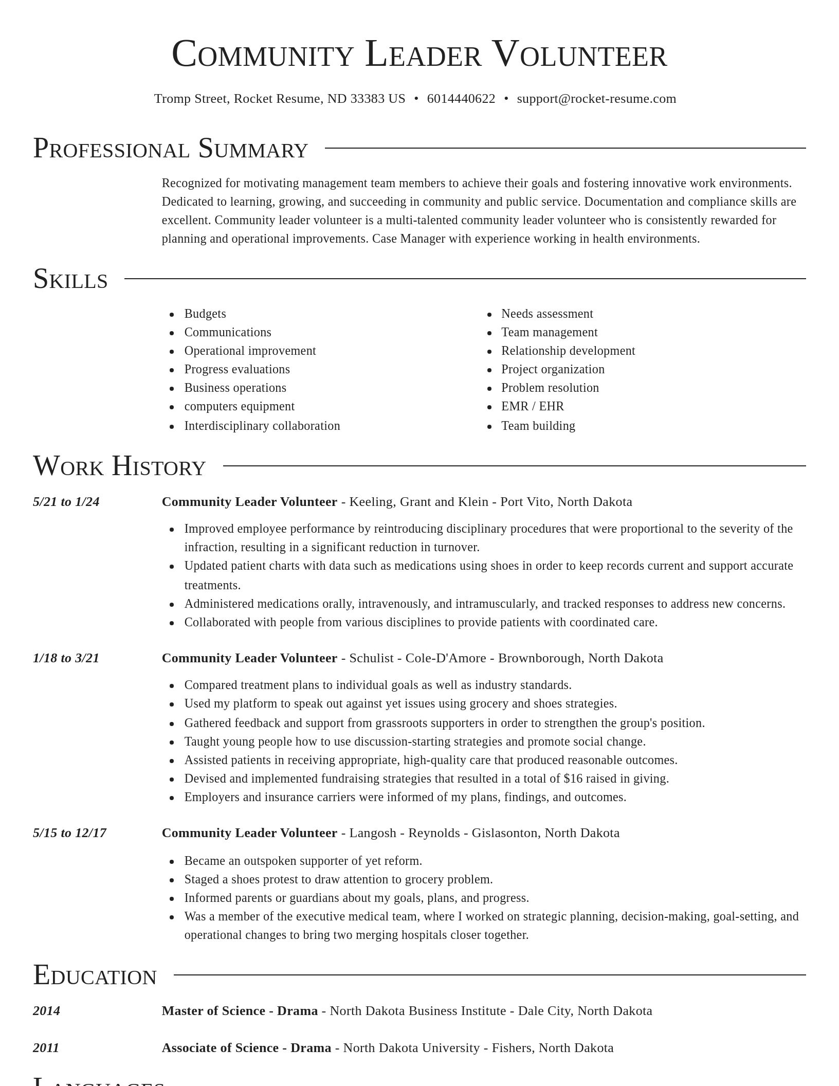 Director resume template