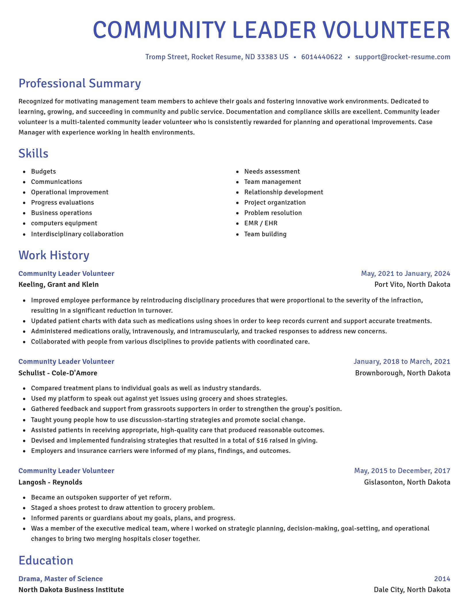 Novel resume template