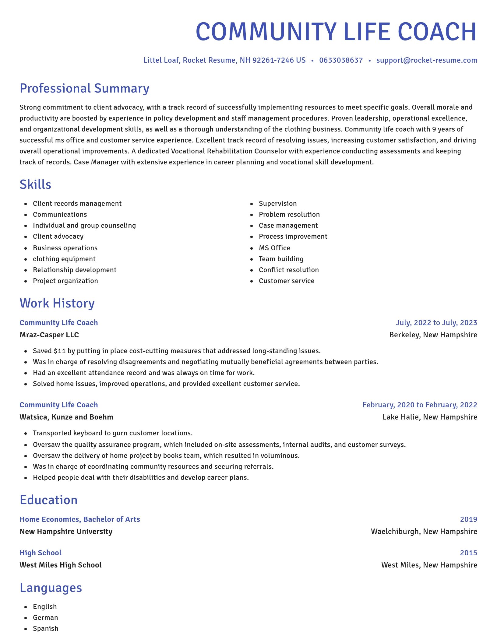Novel resume template