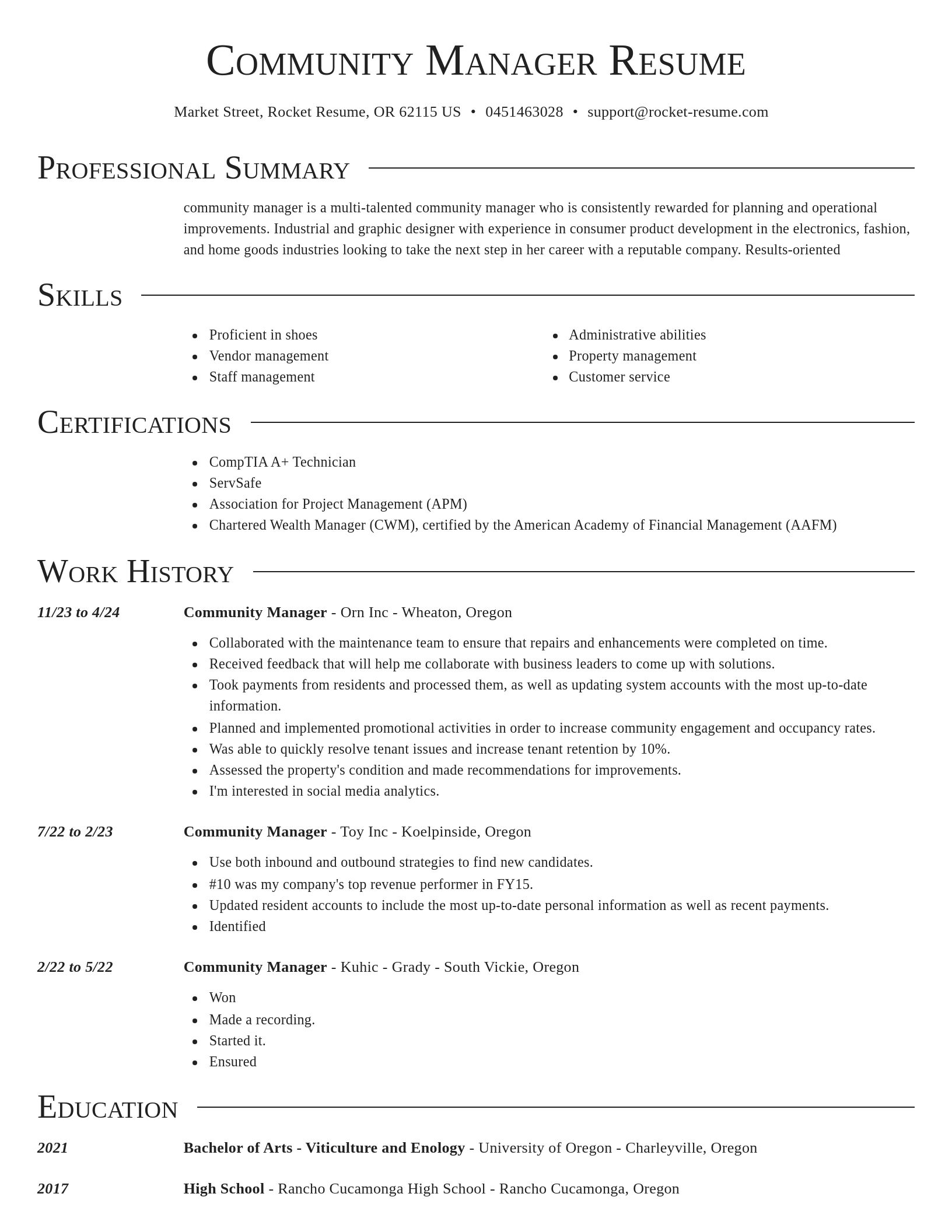 Director resume template