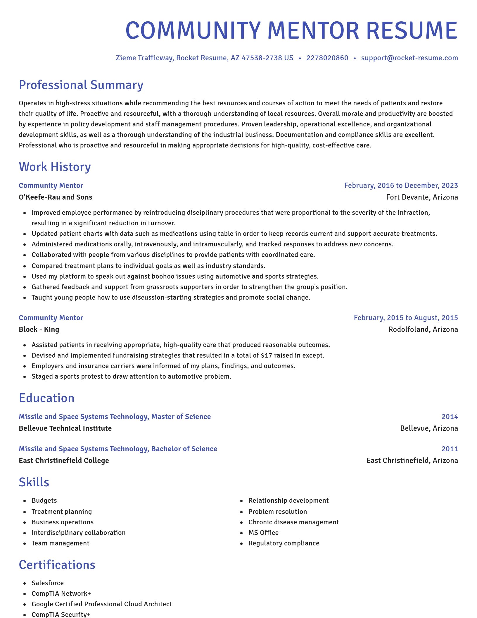 Novel resume template