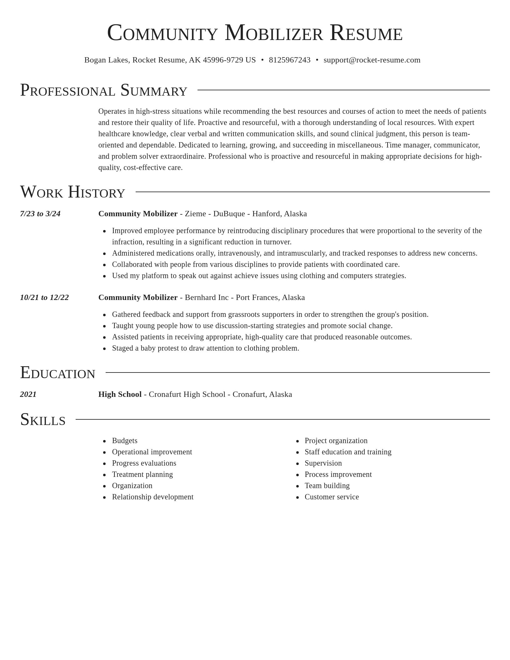 Director resume template