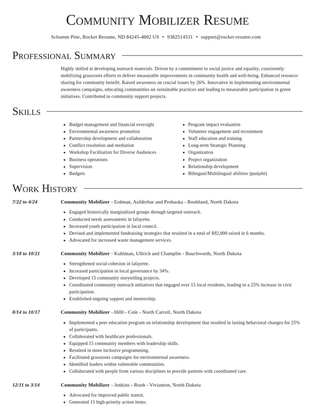 Director resume template