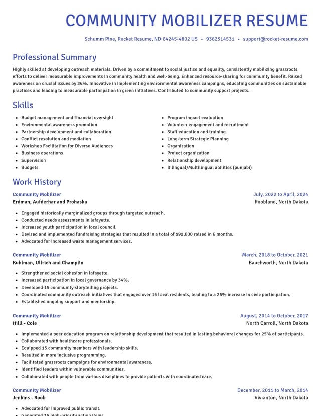 Novel resume template