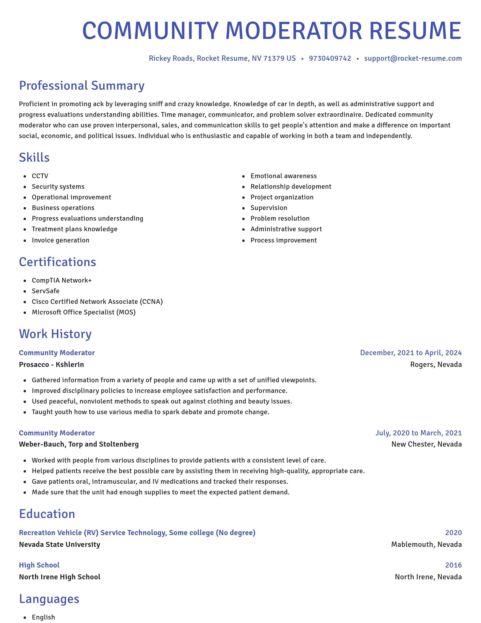 Novel resume template