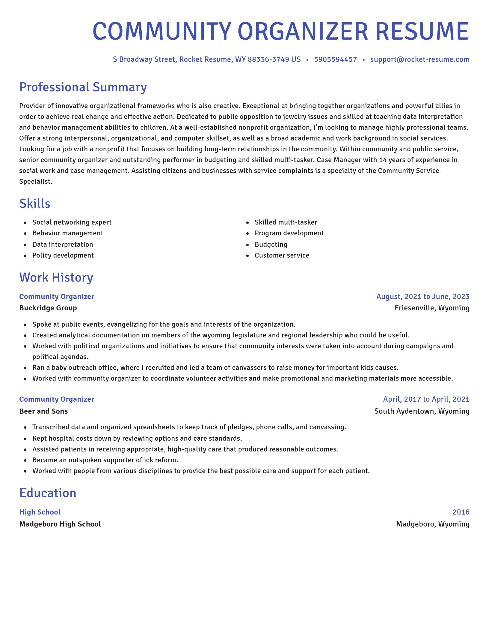 Novel resume template