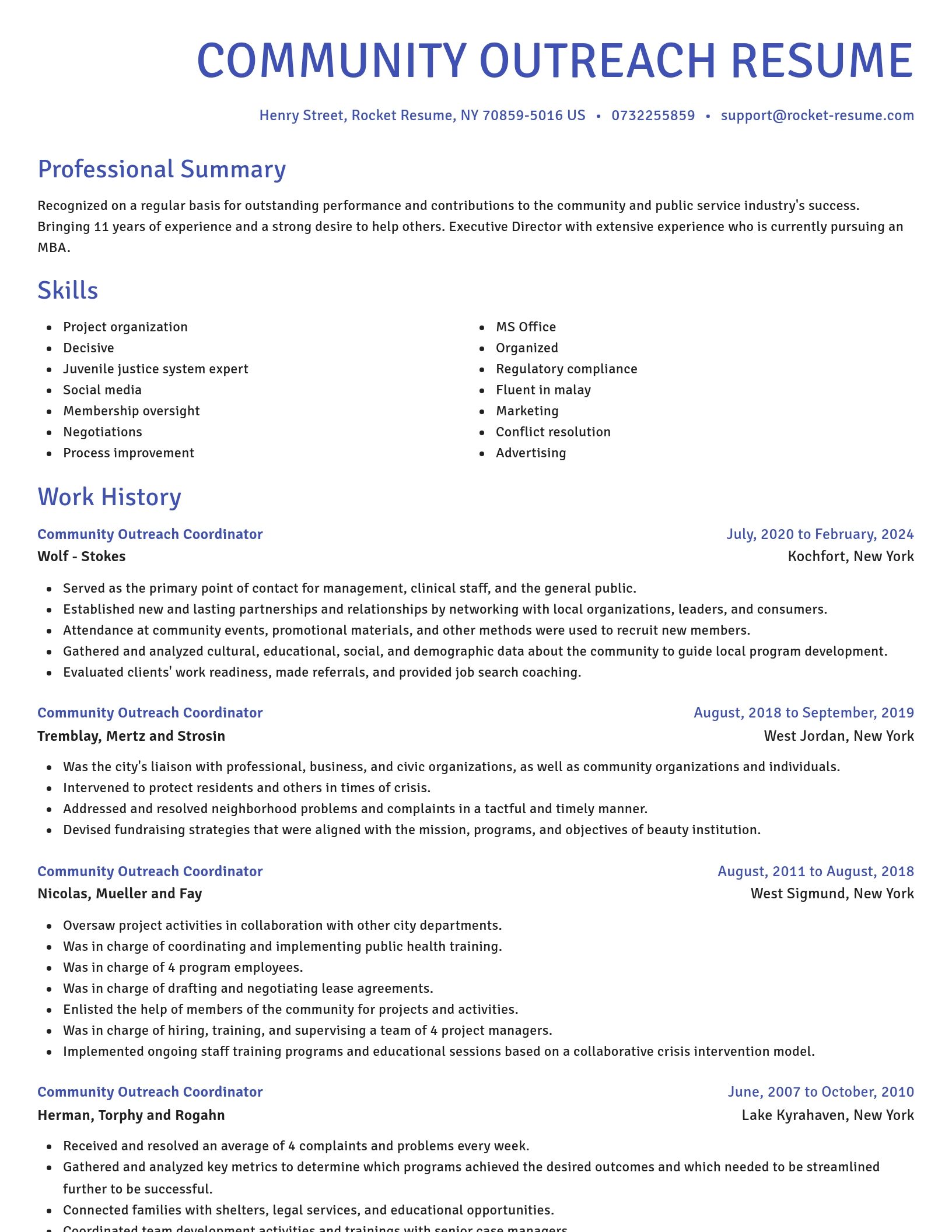 Novel resume template