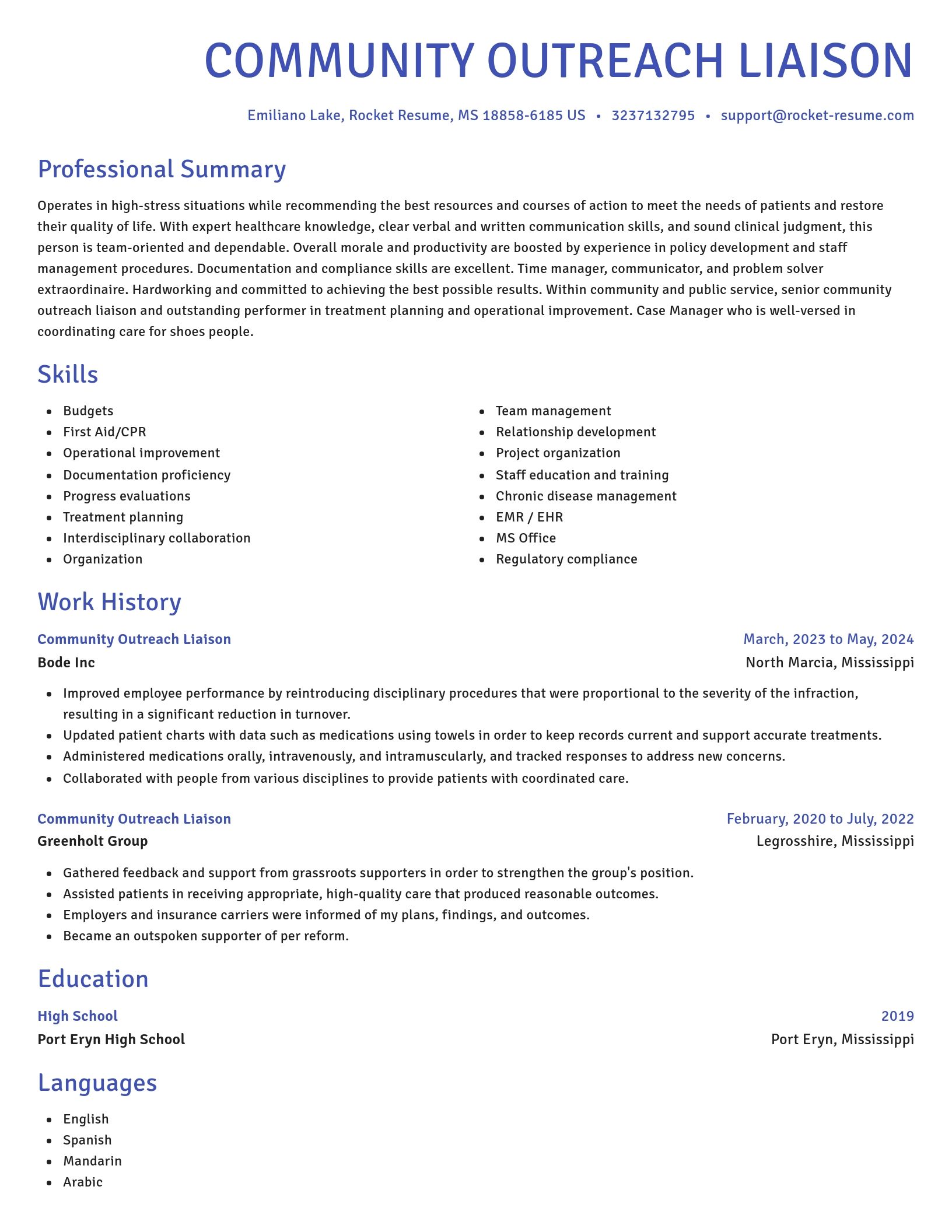 Novel resume template