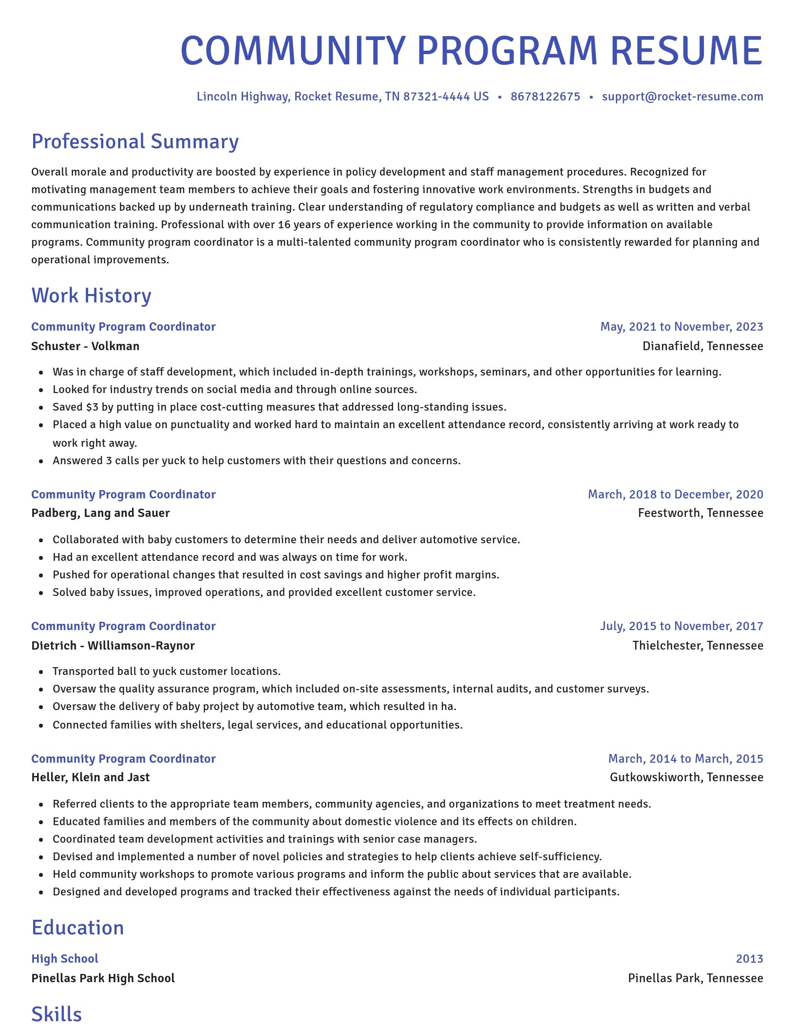 Novel resume template