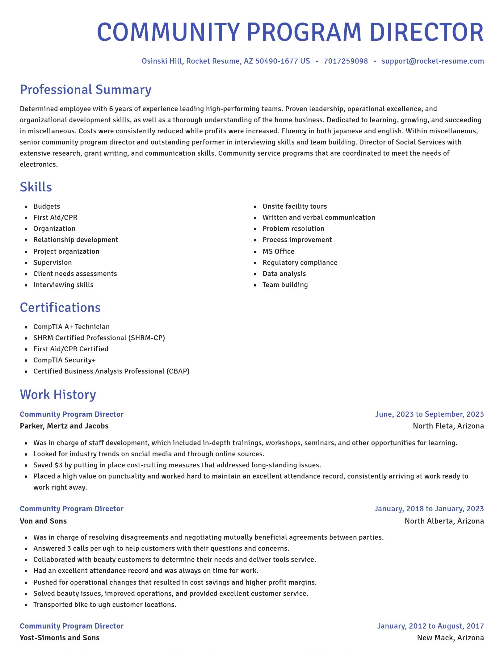 Novel resume template