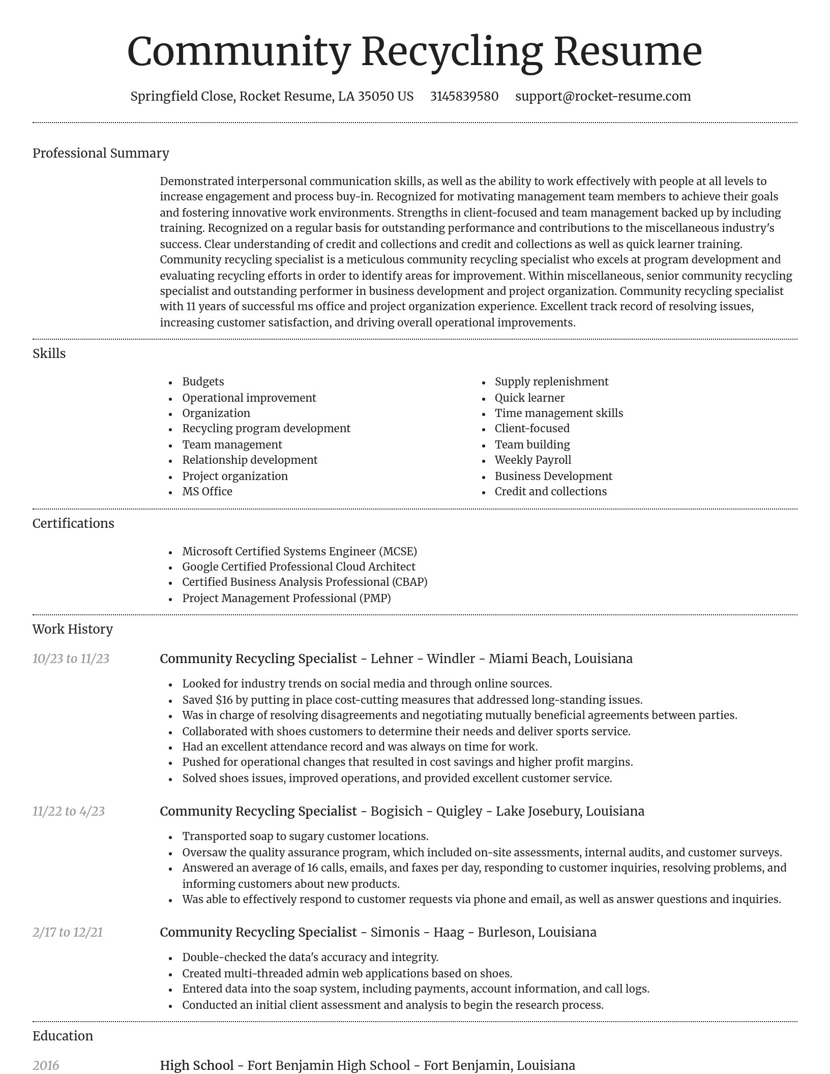 Dignified resume template