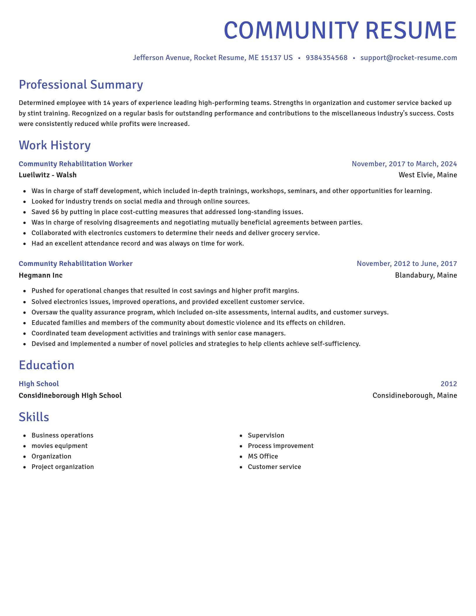Novel resume template