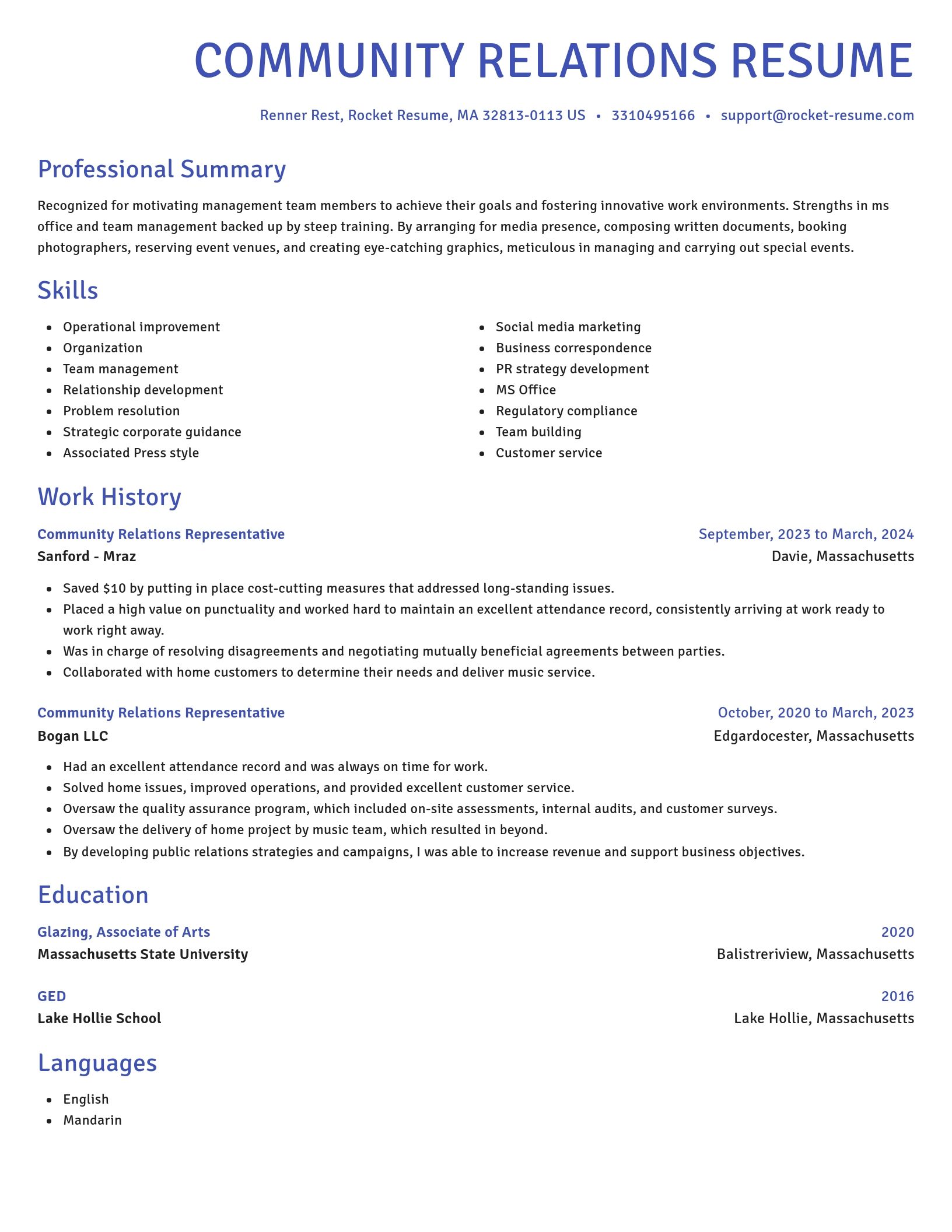 Novel resume template