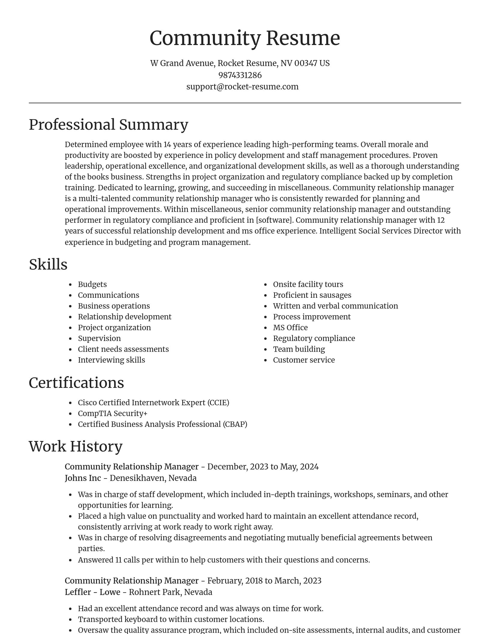 Focal Point resume template