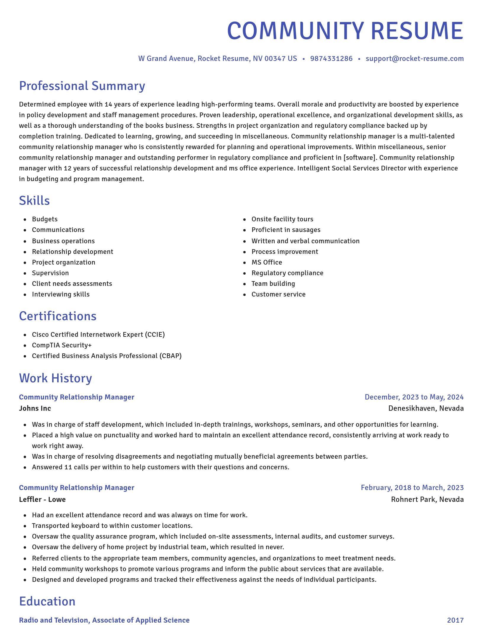 Novel resume template