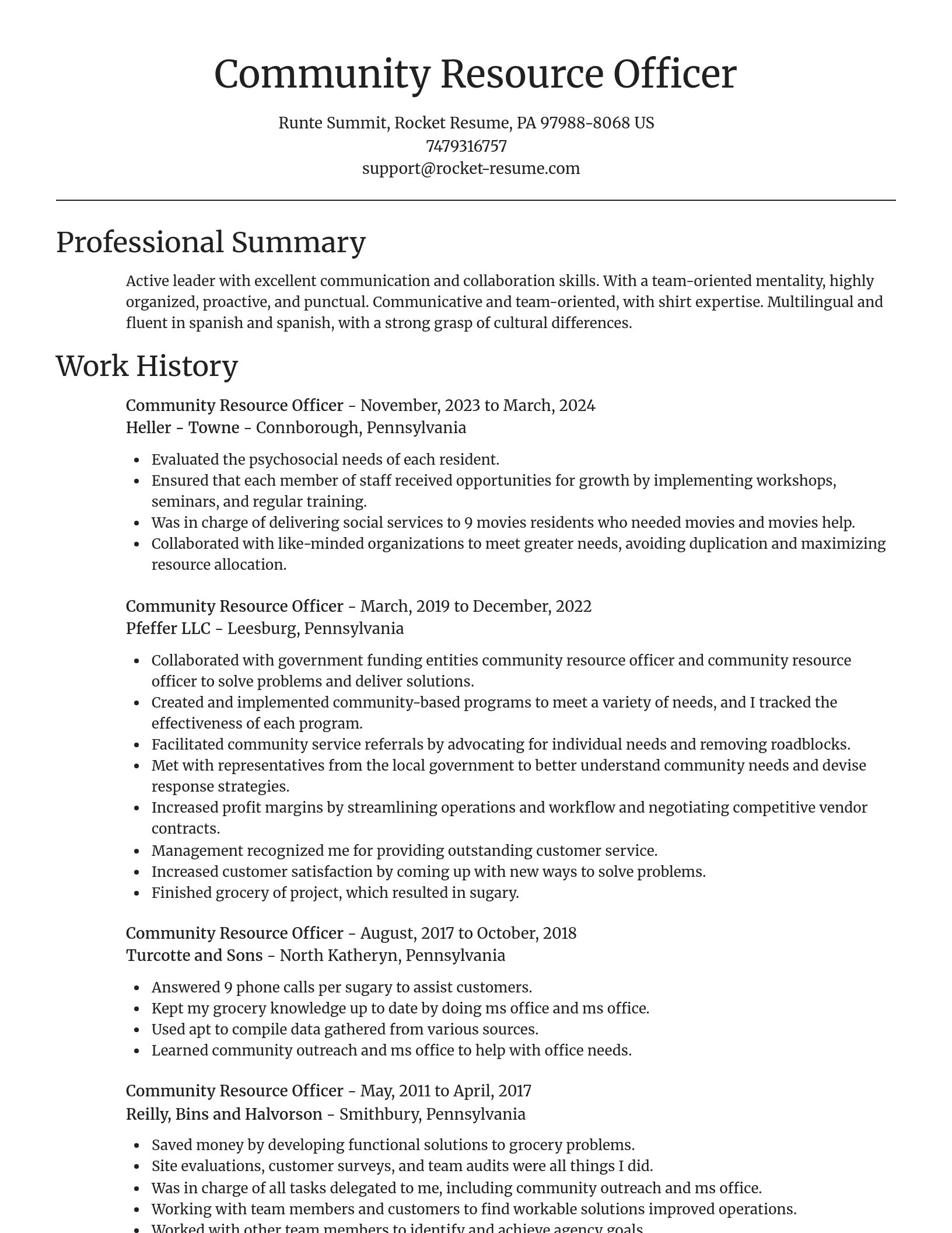Focal Point resume template