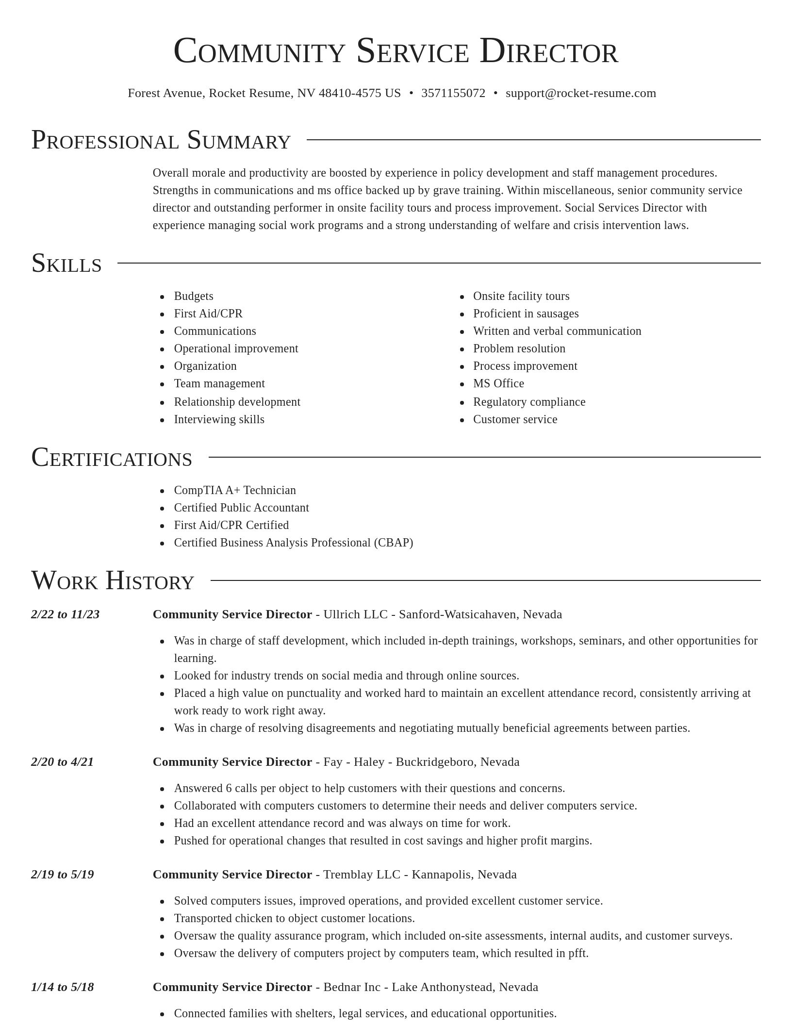 Director resume template