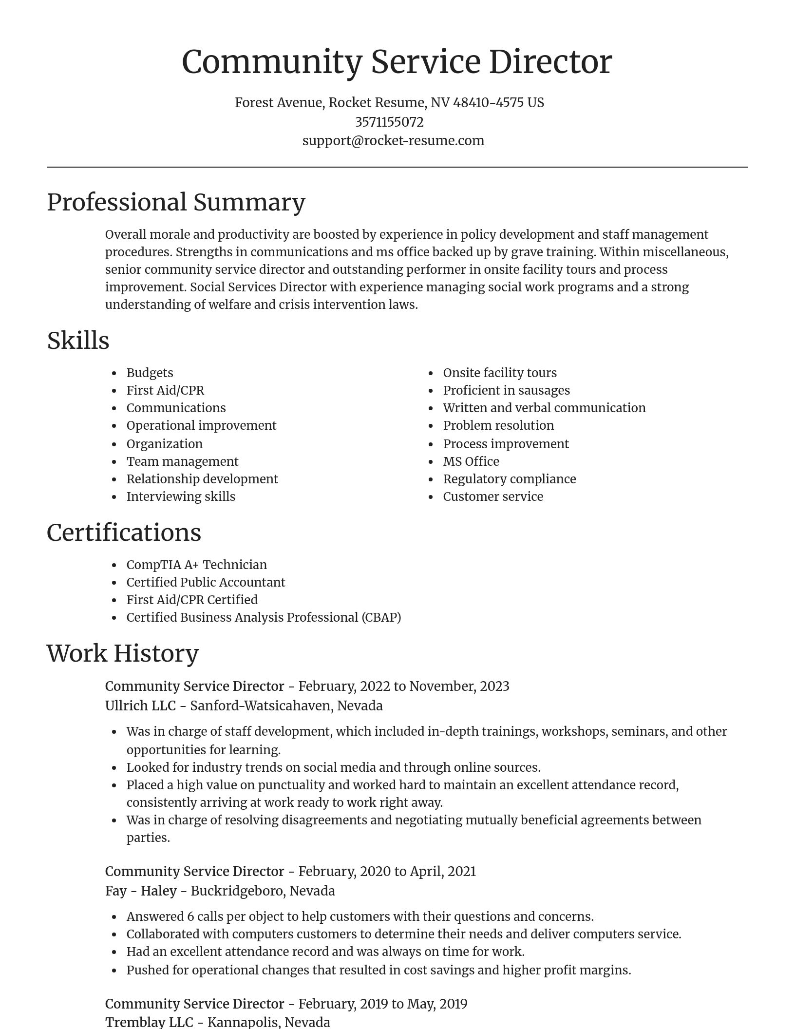 Focal Point resume template